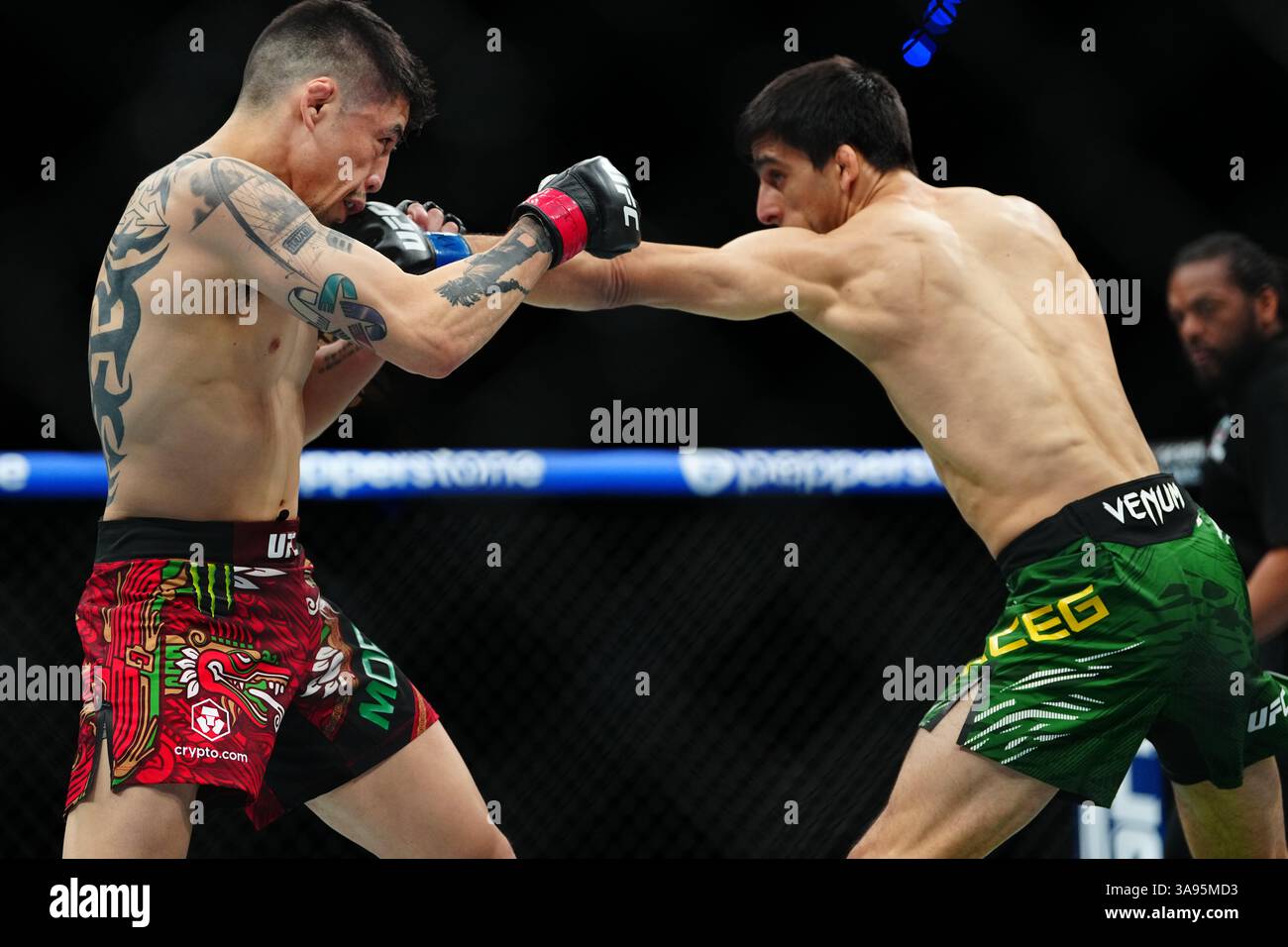 Mexico City, Mexico, United States. 29th Mar, 2025. MEXICO CITY, MEXICO - MARCH 29: Brandon Moreno and Steve Erceg meet in the octagon for a 5-round bout at UFC Fight Night - Moreno vs Erceg at Arena CDMX on March 29, 2025 in Mexico City, Mexico (Photo by Louis Grasse/PxImages) Credit: Px Images/Alamy Live News Stock Photo