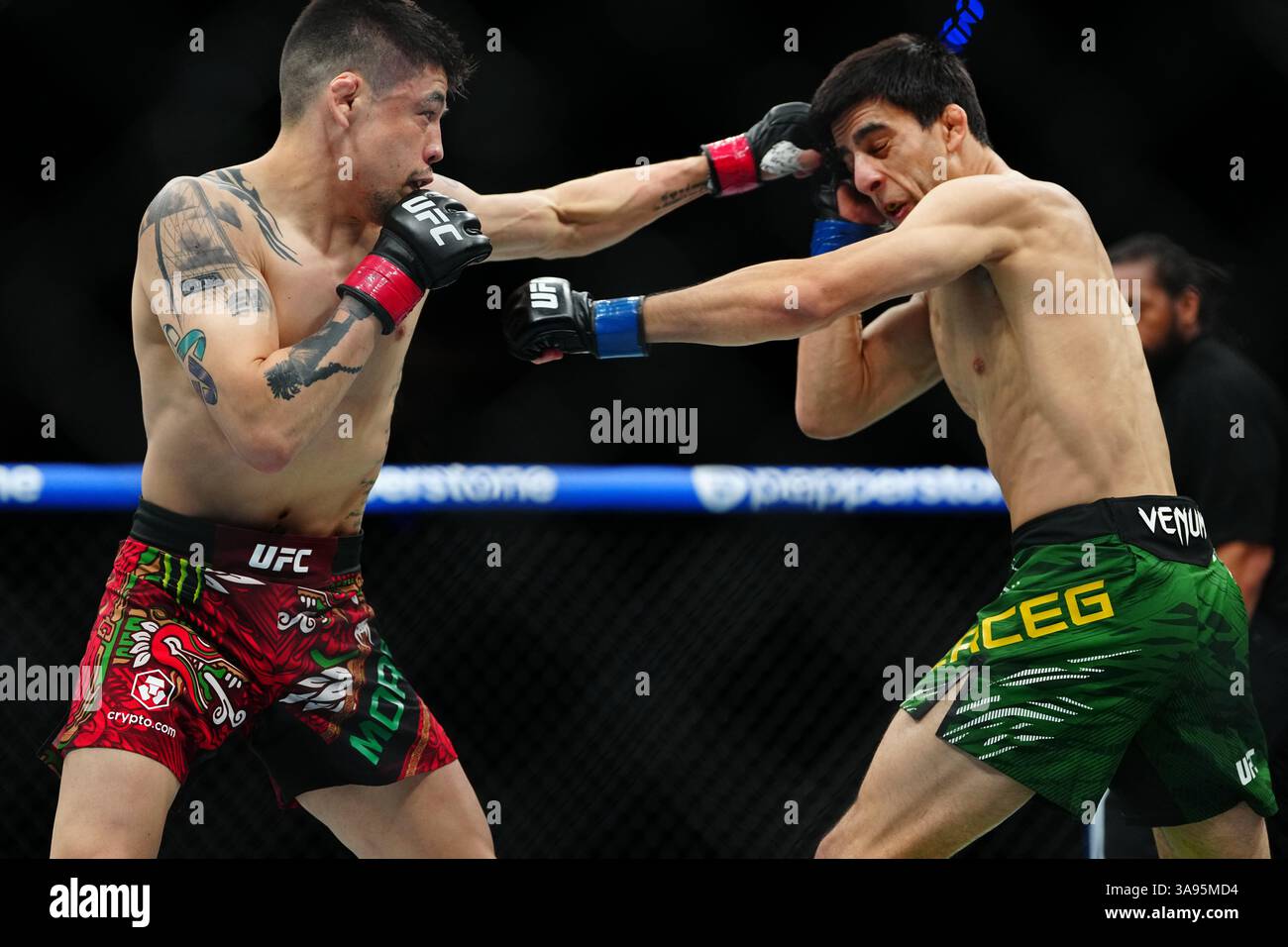 Mexico City, Mexico, United States. 29th Mar, 2025. MEXICO CITY, MEXICO - MARCH 29: Brandon Moreno and Steve Erceg meet in the octagon for a 5-round bout at UFC Fight Night - Moreno vs Erceg at Arena CDMX on March 29, 2025 in Mexico City, Mexico (Photo by Louis Grasse/PxImages) Credit: Px Images/Alamy Live News Stock Photo