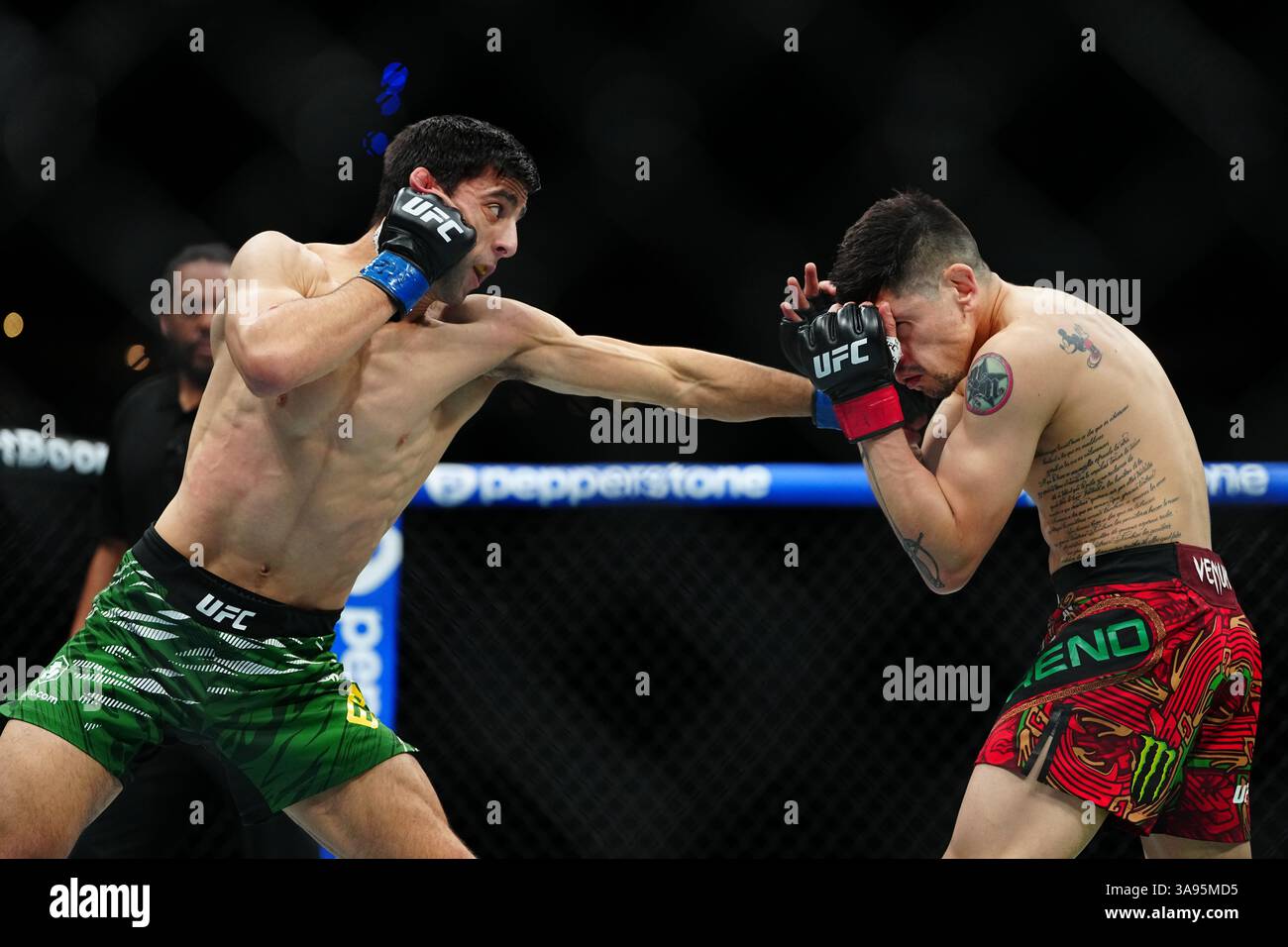Mexico City, Mexico, United States. 29th Mar, 2025. MEXICO CITY, MEXICO - MARCH 29: Brandon Moreno and Steve Erceg meet in the octagon for a 5-round bout at UFC Fight Night - Moreno vs Erceg at Arena CDMX on March 29, 2025 in Mexico City, Mexico (Photo by Louis Grasse/PxImages) Credit: Px Images/Alamy Live News Stock Photo
