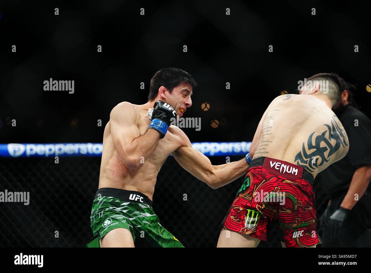 Mexico City, Mexico, United States. 29th Mar, 2025. MEXICO CITY, MEXICO - MARCH 29: Brandon Moreno and Steve Erceg meet in the octagon for a 5-round bout at UFC Fight Night - Moreno vs Erceg at Arena CDMX on March 29, 2025 in Mexico City, Mexico (Photo by Louis Grasse/PxImages) Credit: Px Images/Alamy Live News Stock Photo