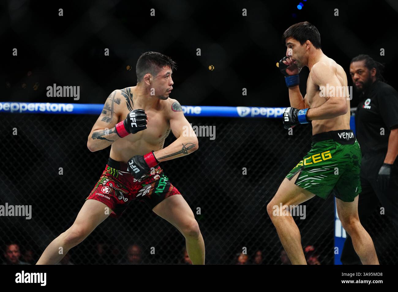 Mexico City, Mexico, United States. 29th Mar, 2025. MEXICO CITY, MEXICO - MARCH 29: Brandon Moreno and Steve Erceg meet in the octagon for a 5-round bout at UFC Fight Night - Moreno vs Erceg at Arena CDMX on March 29, 2025 in Mexico City, Mexico (Photo by Louis Grasse/PxImages) Credit: Px Images/Alamy Live News Stock Photo