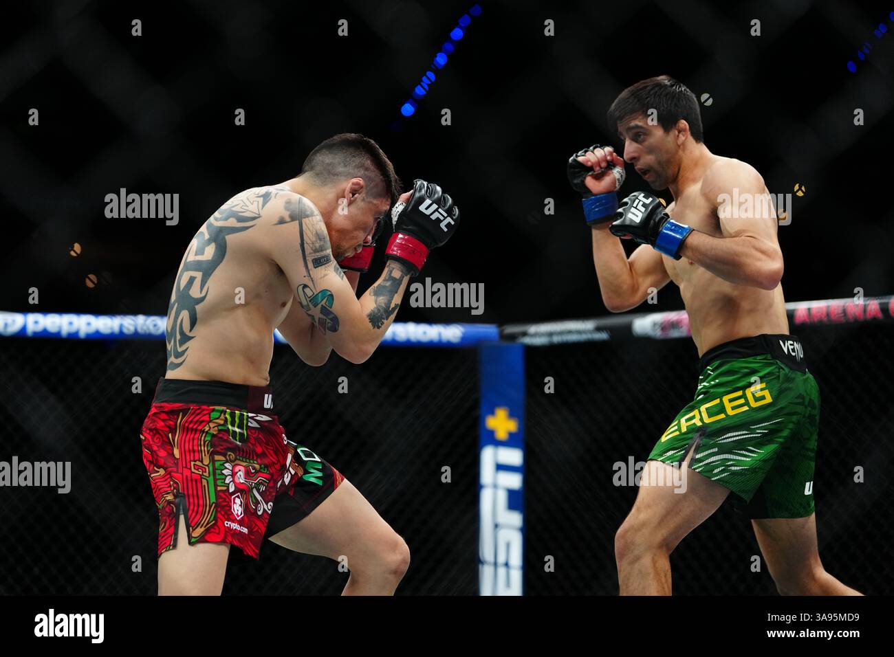 Mexico City, Mexico, United States. 29th Mar, 2025. MEXICO CITY, MEXICO - MARCH 29: Brandon Moreno and Steve Erceg meet in the octagon for a 5-round bout at UFC Fight Night - Moreno vs Erceg at Arena CDMX on March 29, 2025 in Mexico City, Mexico (Photo by Louis Grasse/PxImages) Credit: Px Images/Alamy Live News Stock Photo