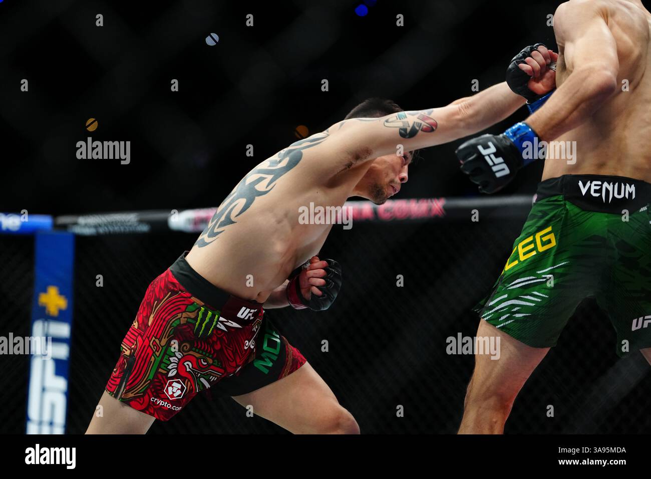 Mexico City, Mexico, United States. 29th Mar, 2025. MEXICO CITY, MEXICO - MARCH 29: Brandon Moreno and Steve Erceg meet in the octagon for a 5-round bout at UFC Fight Night - Moreno vs Erceg at Arena CDMX on March 29, 2025 in Mexico City, Mexico (Photo by Louis Grasse/PxImages) Credit: Px Images/Alamy Live News Stock Photo