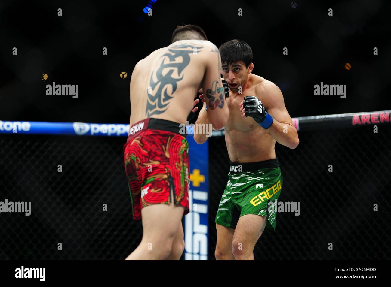 Mexico City, Mexico, United States. 29th Mar, 2025. MEXICO CITY, MEXICO - MARCH 29: Brandon Moreno and Steve Erceg meet in the octagon for a 5-round bout at UFC Fight Night - Moreno vs Erceg at Arena CDMX on March 29, 2025 in Mexico City, Mexico (Photo by Louis Grasse/PxImages) Credit: Px Images/Alamy Live News Stock Photo