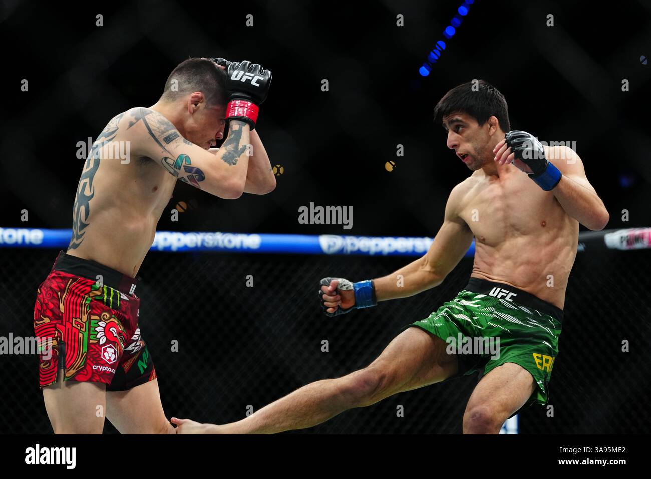 Mexico City, Mexico, United States. 29th Mar, 2025. MEXICO CITY, MEXICO - MARCH 29: Brandon Moreno and Steve Erceg meet in the octagon for a 5-round bout at UFC Fight Night - Moreno vs Erceg at Arena CDMX on March 29, 2025 in Mexico City, Mexico (Photo by Louis Grasse/PxImages) Credit: Px Images/Alamy Live News Stock Photo