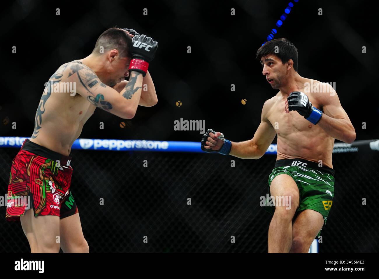 Mexico City, Mexico, United States. 29th Mar, 2025. MEXICO CITY, MEXICO - MARCH 29: Brandon Moreno and Steve Erceg meet in the octagon for a 5-round bout at UFC Fight Night - Moreno vs Erceg at Arena CDMX on March 29, 2025 in Mexico City, Mexico (Photo by Louis Grasse/PxImages) Credit: Px Images/Alamy Live News Stock Photo