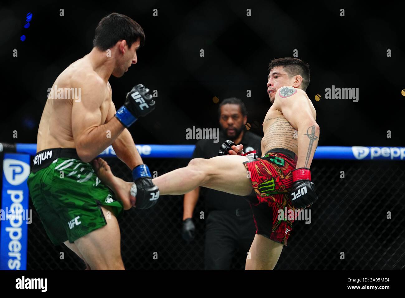Mexico City, Mexico, United States. 29th Mar, 2025. MEXICO CITY, MEXICO - MARCH 29: Brandon Moreno and Steve Erceg meet in the octagon for a 5-round bout at UFC Fight Night - Moreno vs Erceg at Arena CDMX on March 29, 2025 in Mexico City, Mexico (Photo by Louis Grasse/PxImages) Credit: Px Images/Alamy Live News Stock Photo