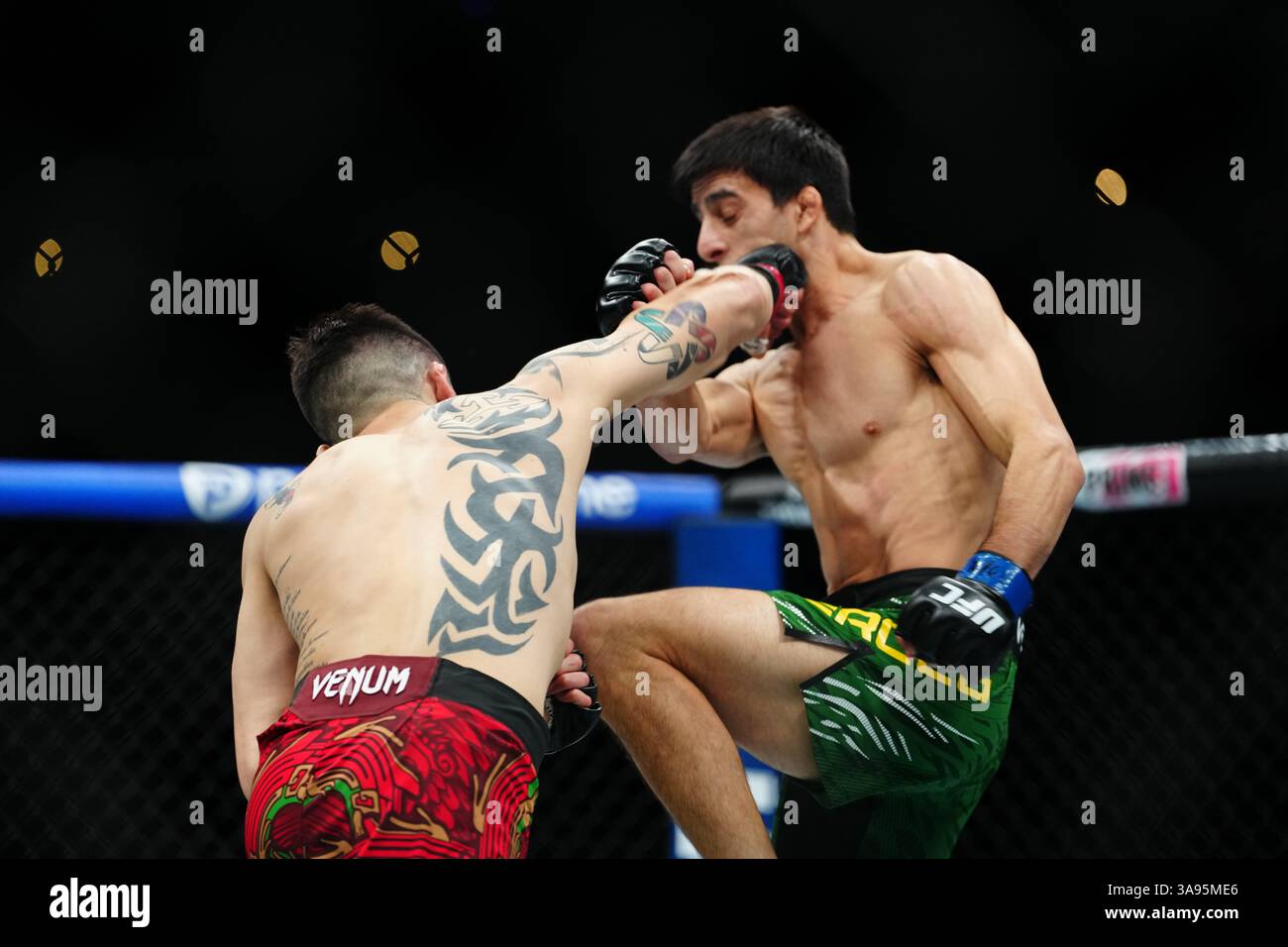 Mexico City, Mexico, United States. 29th Mar, 2025. MEXICO CITY, MEXICO - MARCH 29: Brandon Moreno and Steve Erceg meet in the octagon for a 5-round bout at UFC Fight Night - Moreno vs Erceg at Arena CDMX on March 29, 2025 in Mexico City, Mexico (Photo by Louis Grasse/PxImages) Credit: Px Images/Alamy Live News Stock Photo