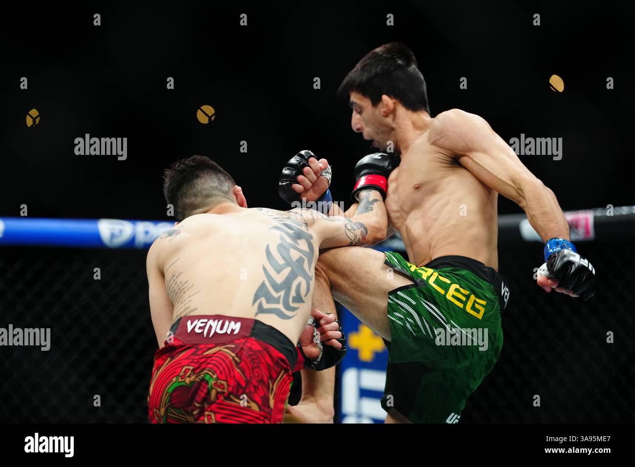 Mexico City, Mexico, United States. 29th Mar, 2025. MEXICO CITY, MEXICO - MARCH 29: Brandon Moreno and Steve Erceg meet in the octagon for a 5-round bout at UFC Fight Night - Moreno vs Erceg at Arena CDMX on March 29, 2025 in Mexico City, Mexico (Photo by Louis Grasse/PxImages) Credit: Px Images/Alamy Live News Stock Photo