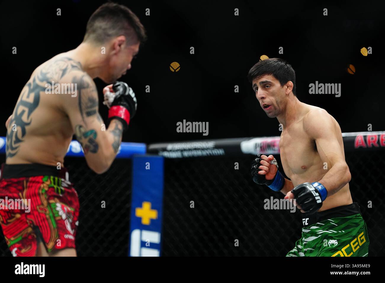 Mexico City, Mexico, United States. 29th Mar, 2025. MEXICO CITY, MEXICO - MARCH 29: Brandon Moreno and Steve Erceg meet in the octagon for a 5-round bout at UFC Fight Night - Moreno vs Erceg at Arena CDMX on March 29, 2025 in Mexico City, Mexico (Photo by Louis Grasse/PxImages) Credit: Px Images/Alamy Live News Stock Photo