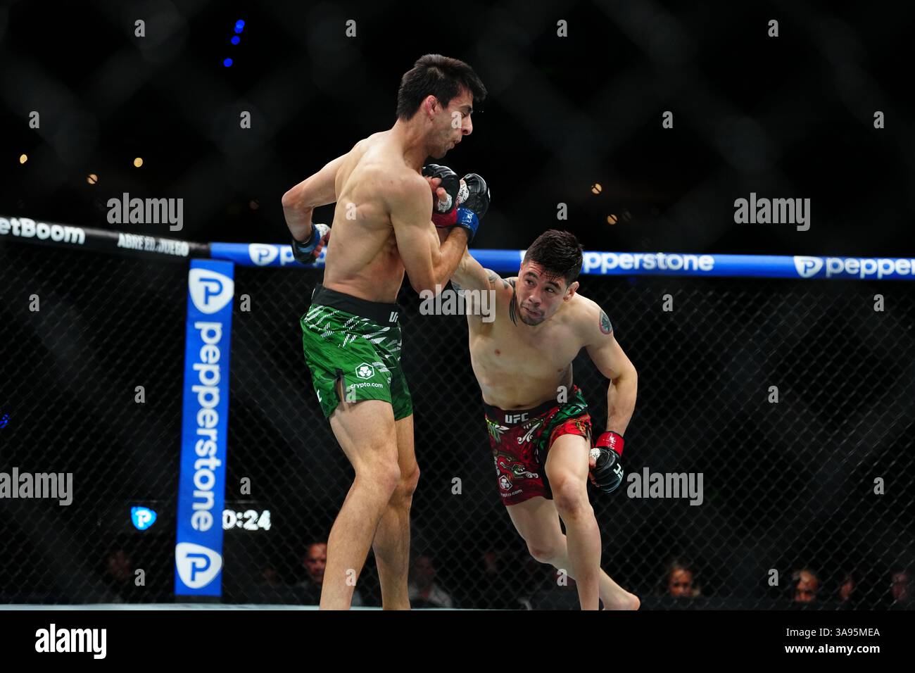 Mexico City, Mexico, United States. 29th Mar, 2025. MEXICO CITY, MEXICO - MARCH 29: Brandon Moreno and Steve Erceg meet in the octagon for a 5-round bout at UFC Fight Night - Moreno vs Erceg at Arena CDMX on March 29, 2025 in Mexico City, Mexico (Photo by Louis Grasse/PxImages) Credit: Px Images/Alamy Live News Stock Photo