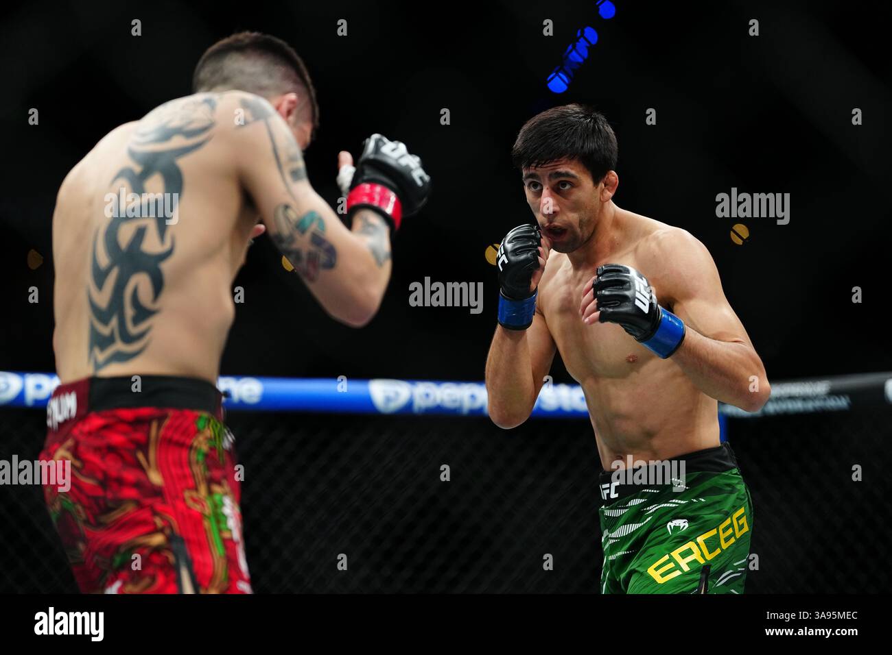 Mexico City, Mexico, United States. 29th Mar, 2025. MEXICO CITY, MEXICO - MARCH 29: Brandon Moreno and Steve Erceg meet in the octagon for a 5-round bout at UFC Fight Night - Moreno vs Erceg at Arena CDMX on March 29, 2025 in Mexico City, Mexico (Photo by Louis Grasse/PxImages) Credit: Px Images/Alamy Live News Stock Photo