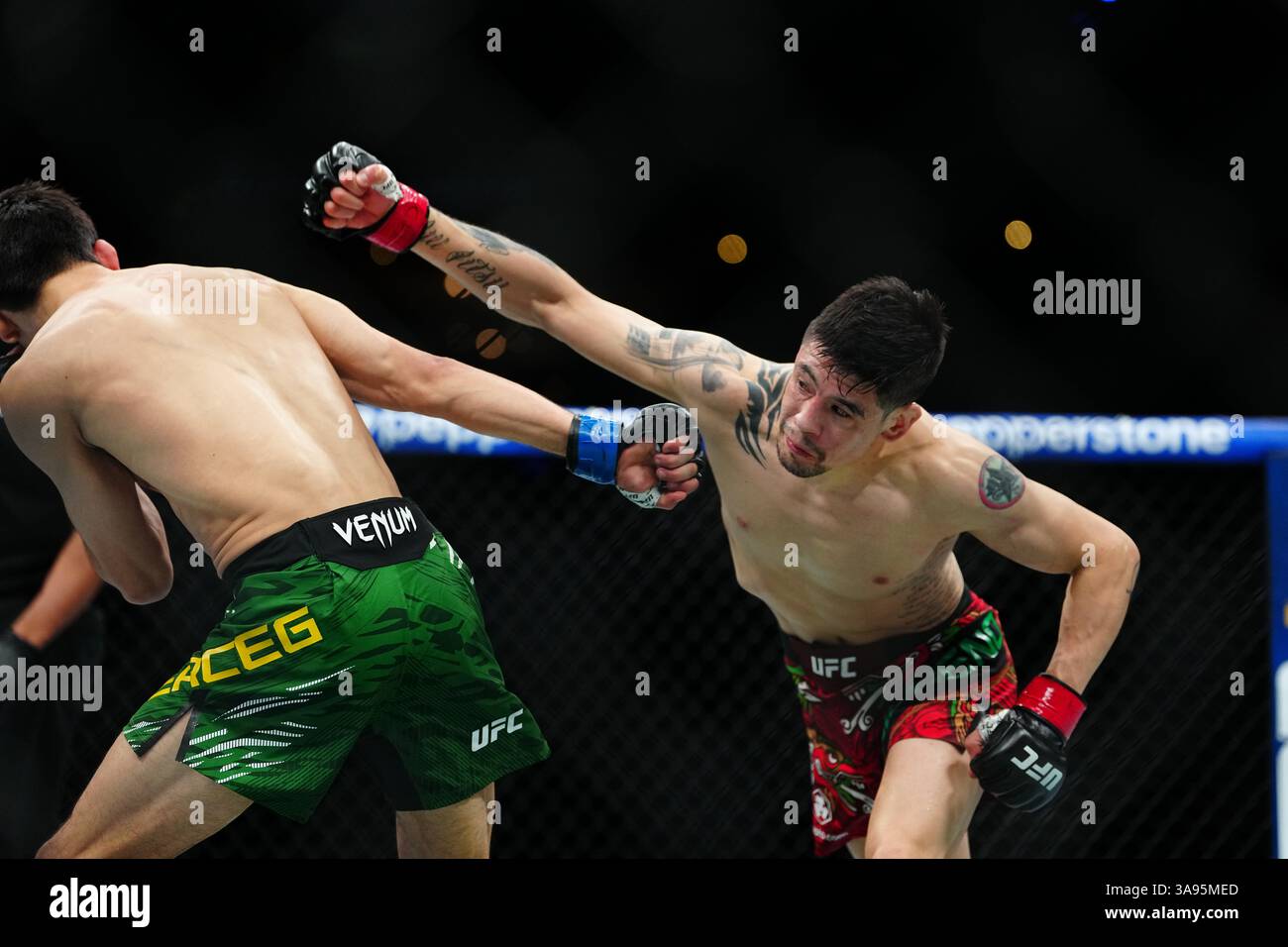 Mexico City, Mexico, United States. 29th Mar, 2025. MEXICO CITY, MEXICO - MARCH 29: Brandon Moreno and Steve Erceg meet in the octagon for a 5-round bout at UFC Fight Night - Moreno vs Erceg at Arena CDMX on March 29, 2025 in Mexico City, Mexico (Photo by Louis Grasse/PxImages) Credit: Px Images/Alamy Live News Stock Photo