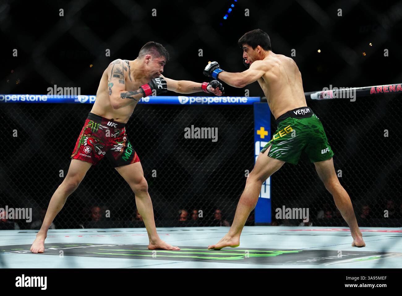 Mexico City, Mexico, United States. 29th Mar, 2025. MEXICO CITY, MEXICO - MARCH 29: Brandon Moreno and Steve Erceg meet in the octagon for a 5-round bout at UFC Fight Night - Moreno vs Erceg at Arena CDMX on March 29, 2025 in Mexico City, Mexico (Photo by Louis Grasse/PxImages) Credit: Px Images/Alamy Live News Stock Photo