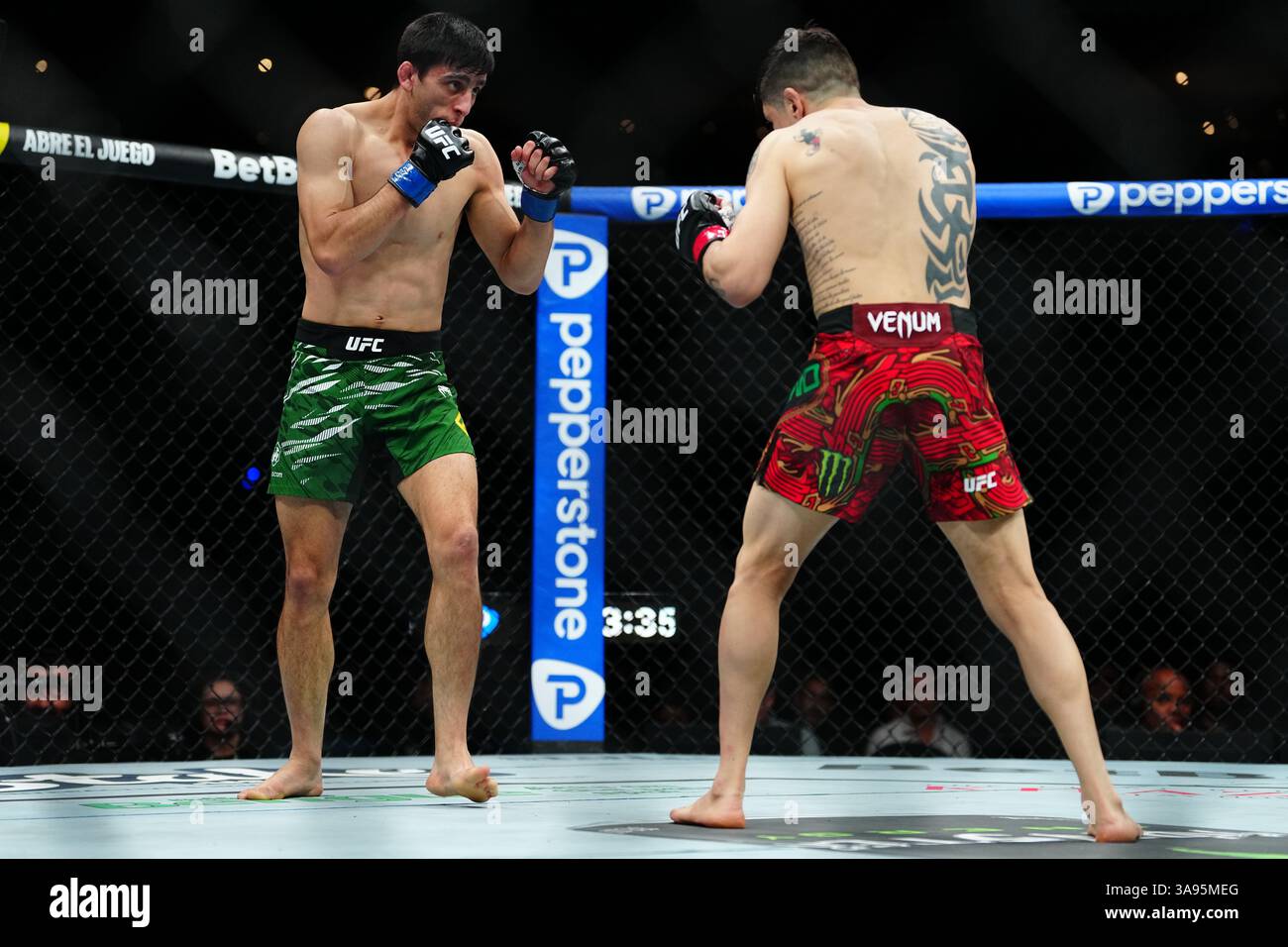 Mexico City, Mexico, United States. 29th Mar, 2025. MEXICO CITY, MEXICO - MARCH 29: Brandon Moreno and Steve Erceg meet in the octagon for a 5-round bout at UFC Fight Night - Moreno vs Erceg at Arena CDMX on March 29, 2025 in Mexico City, Mexico (Photo by Louis Grasse/PxImages) Credit: Px Images/Alamy Live News Stock Photo
