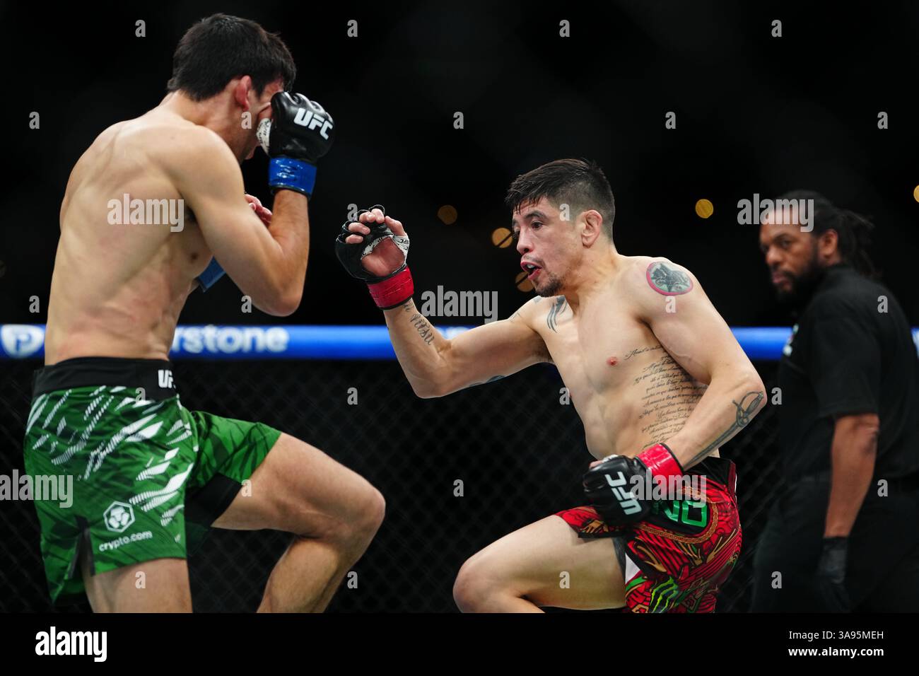 Mexico City, Mexico, United States. 29th Mar, 2025. MEXICO CITY, MEXICO - MARCH 29: Brandon Moreno and Steve Erceg meet in the octagon for a 5-round bout at UFC Fight Night - Moreno vs Erceg at Arena CDMX on March 29, 2025 in Mexico City, Mexico (Photo by Louis Grasse/PxImages) Credit: Px Images/Alamy Live News Stock Photo