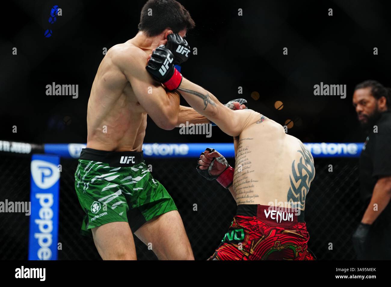 Mexico City, Mexico, United States. 29th Mar, 2025. MEXICO CITY, MEXICO - MARCH 29: Brandon Moreno and Steve Erceg meet in the octagon for a 5-round bout at UFC Fight Night - Moreno vs Erceg at Arena CDMX on March 29, 2025 in Mexico City, Mexico (Photo by Louis Grasse/PxImages) Credit: Px Images/Alamy Live News Stock Photo