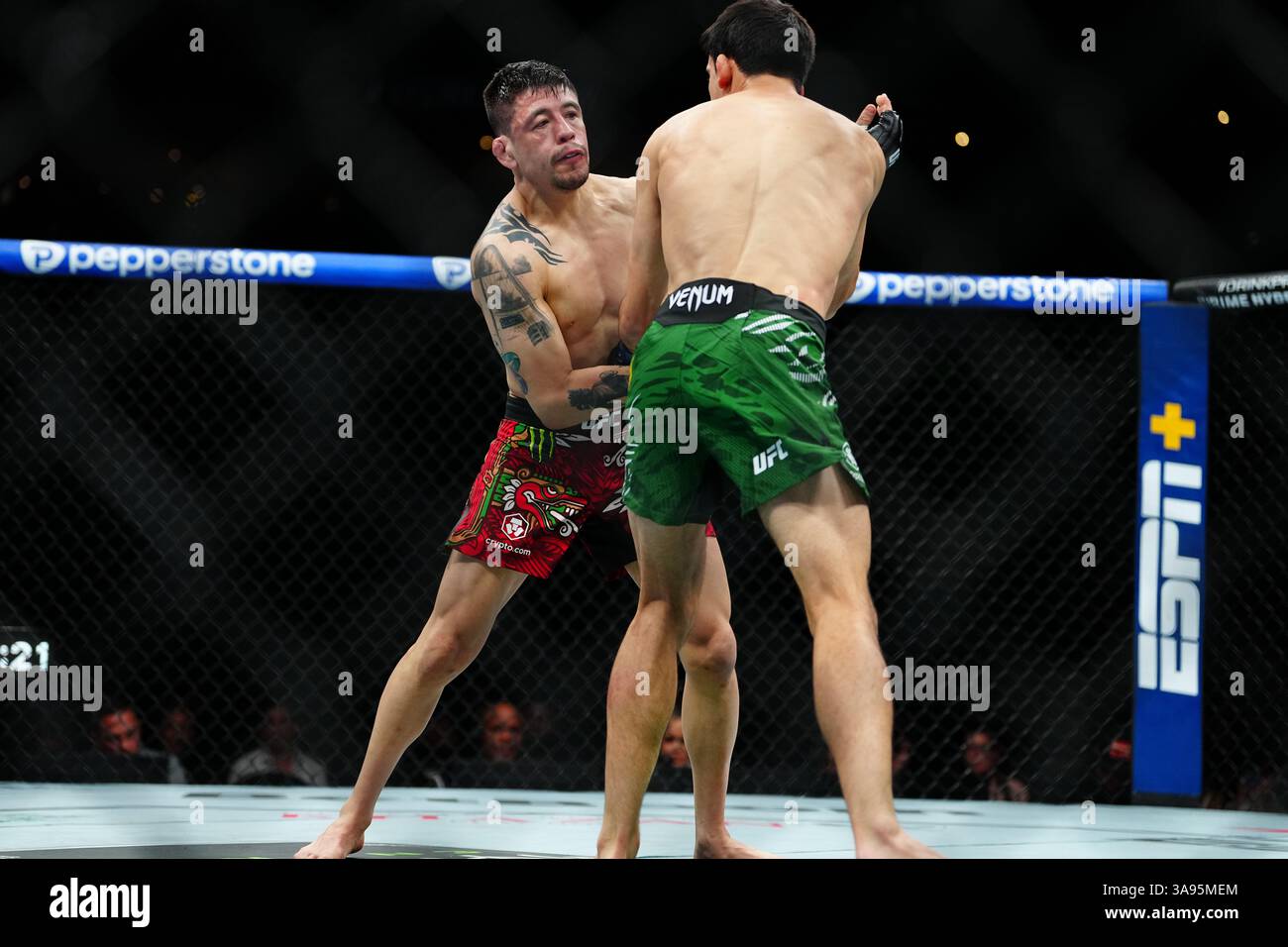 Mexico City, Mexico, United States. 29th Mar, 2025. MEXICO CITY, MEXICO - MARCH 29: Brandon Moreno and Steve Erceg meet in the octagon for a 5-round bout at UFC Fight Night - Moreno vs Erceg at Arena CDMX on March 29, 2025 in Mexico City, Mexico (Photo by Louis Grasse/PxImages) Credit: Px Images/Alamy Live News Stock Photo
