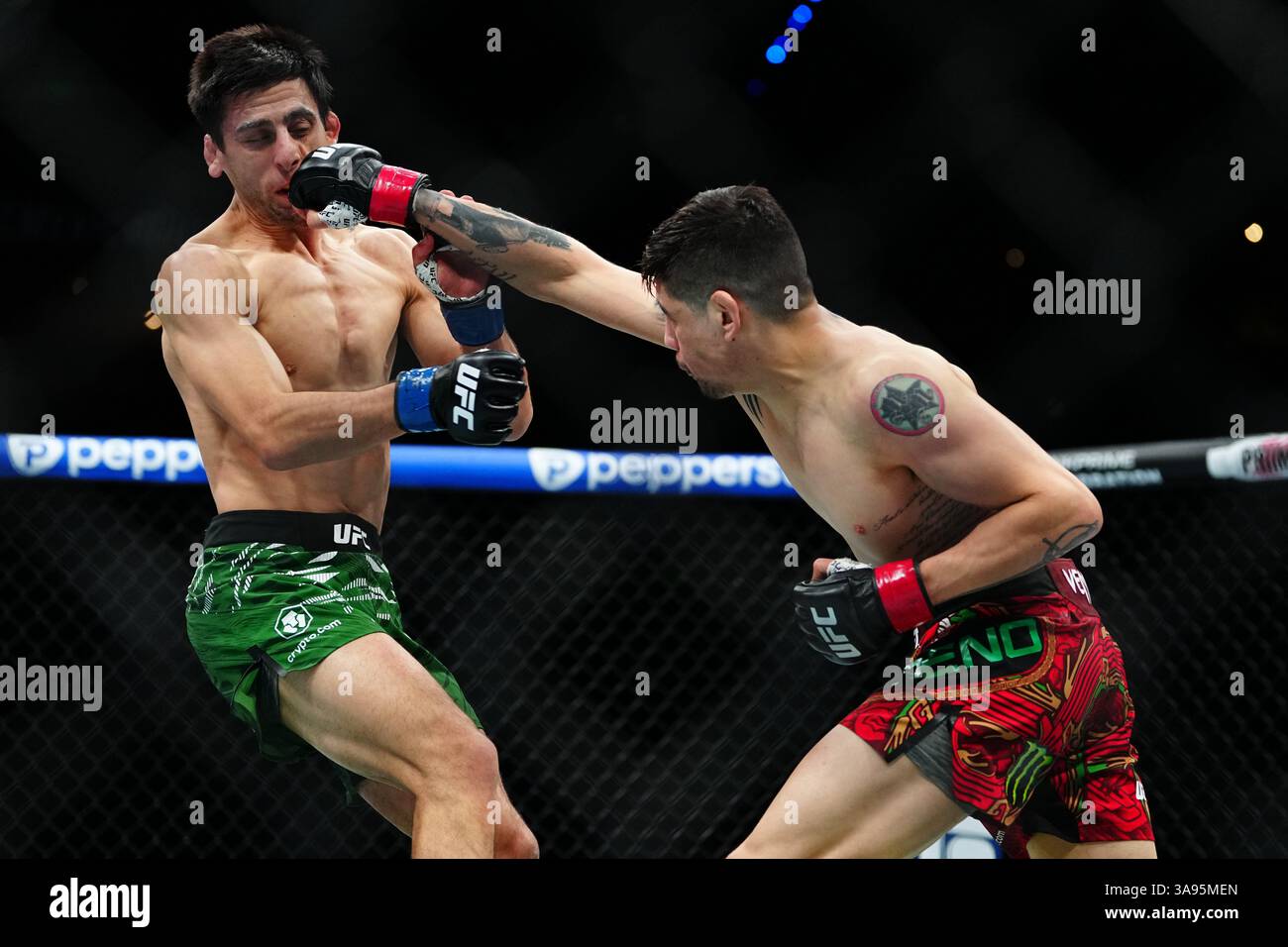 Mexico City, Mexico, United States. 29th Mar, 2025. MEXICO CITY, MEXICO - MARCH 29: Brandon Moreno and Steve Erceg meet in the octagon for a 5-round bout at UFC Fight Night - Moreno vs Erceg at Arena CDMX on March 29, 2025 in Mexico City, Mexico (Photo by Louis Grasse/PxImages) Credit: Px Images/Alamy Live News Stock Photo