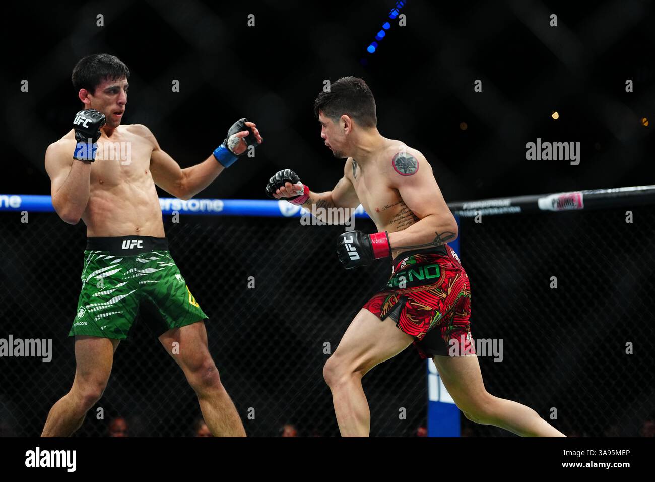 Mexico City, Mexico, United States. 29th Mar, 2025. MEXICO CITY, MEXICO - MARCH 29: Brandon Moreno and Steve Erceg meet in the octagon for a 5-round bout at UFC Fight Night - Moreno vs Erceg at Arena CDMX on March 29, 2025 in Mexico City, Mexico (Photo by Louis Grasse/PxImages) Credit: Px Images/Alamy Live News Stock Photo