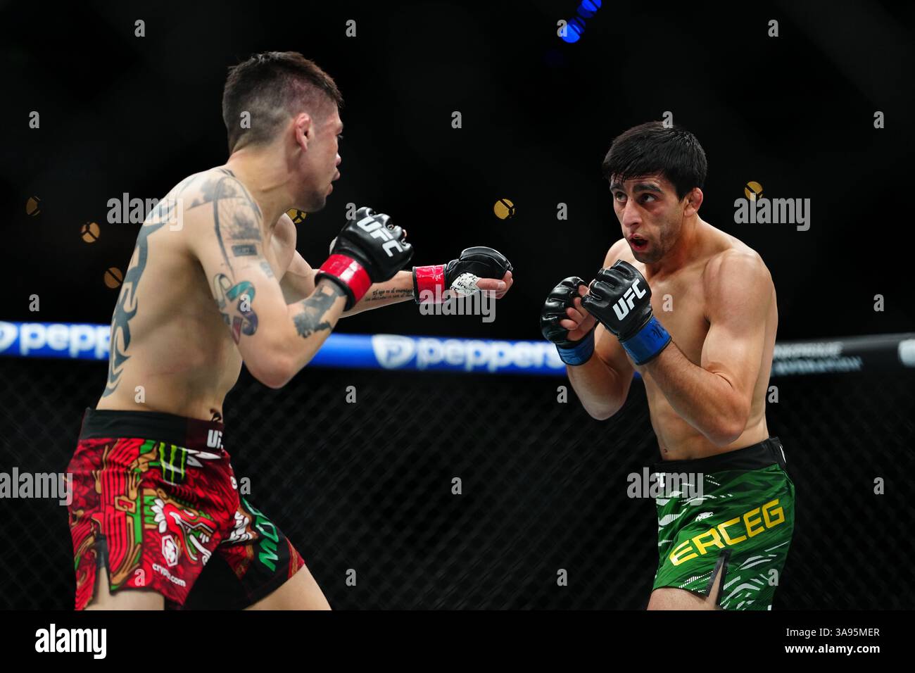 Mexico City, Mexico, United States. 29th Mar, 2025. MEXICO CITY, MEXICO - MARCH 29: Brandon Moreno and Steve Erceg meet in the octagon for a 5-round bout at UFC Fight Night - Moreno vs Erceg at Arena CDMX on March 29, 2025 in Mexico City, Mexico (Photo by Louis Grasse/PxImages) Credit: Px Images/Alamy Live News Stock Photo