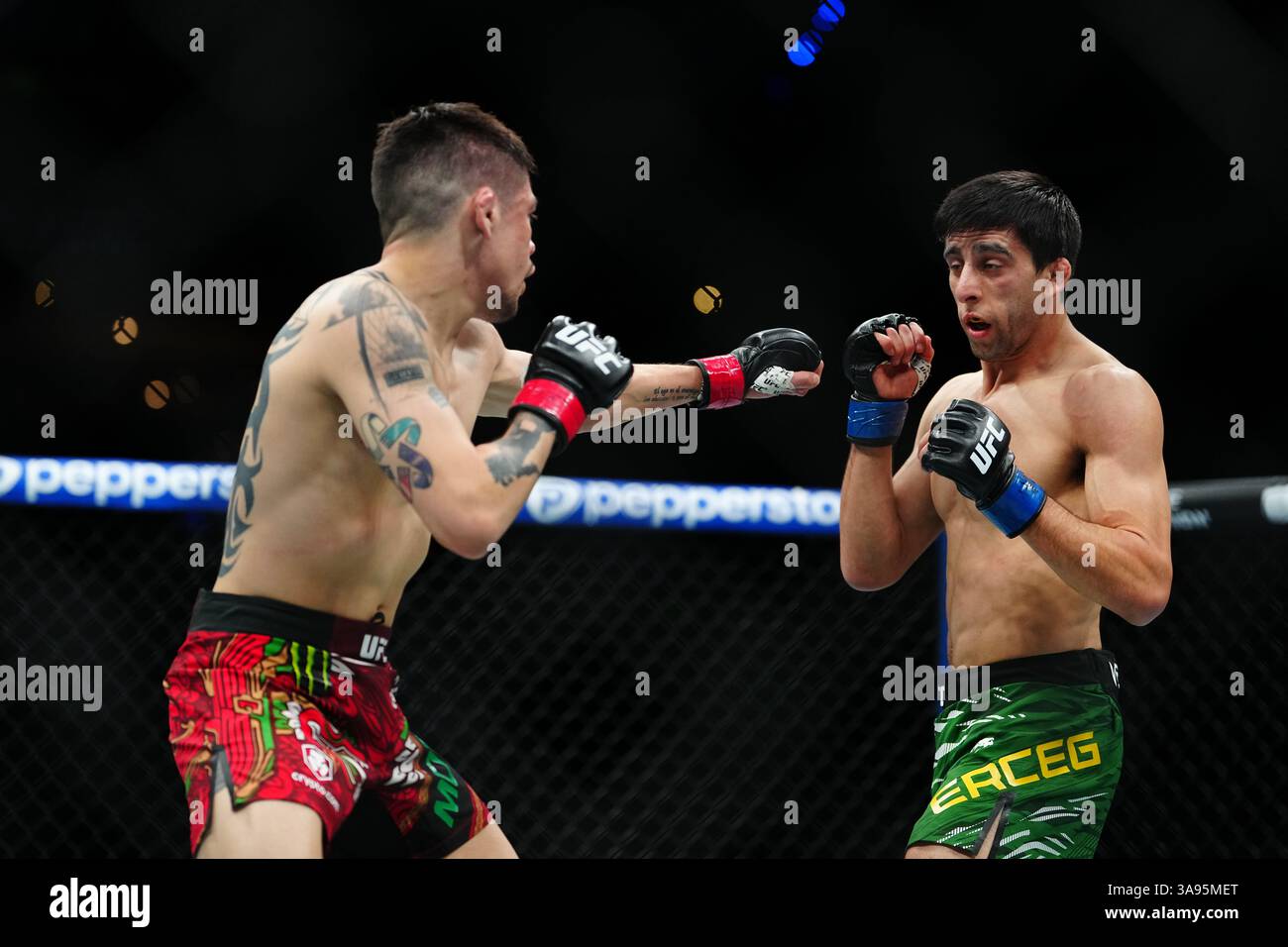 Mexico City, Mexico, United States. 29th Mar, 2025. MEXICO CITY, MEXICO - MARCH 29: Brandon Moreno and Steve Erceg meet in the octagon for a 5-round bout at UFC Fight Night - Moreno vs Erceg at Arena CDMX on March 29, 2025 in Mexico City, Mexico (Photo by Louis Grasse/PxImages) Credit: Px Images/Alamy Live News Stock Photo
