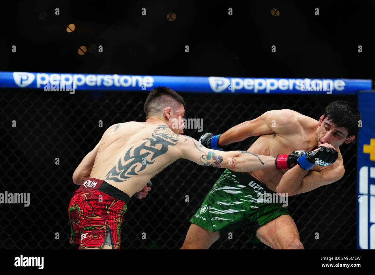 Mexico City, Mexico, United States. 29th Mar, 2025. MEXICO CITY, MEXICO - MARCH 29: Brandon Moreno and Steve Erceg meet in the octagon for a 5-round bout at UFC Fight Night - Moreno vs Erceg at Arena CDMX on March 29, 2025 in Mexico City, Mexico (Photo by Louis Grasse/PxImages) Credit: Px Images/Alamy Live News Stock Photo