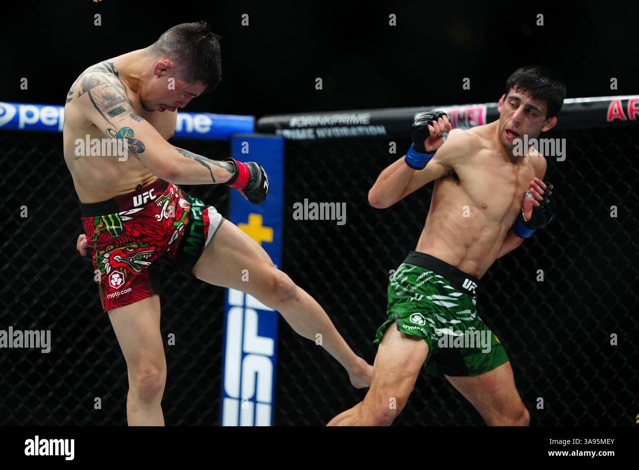 Mexico City, Mexico, United States. 29th Mar, 2025. MEXICO CITY, MEXICO - MARCH 29: Brandon Moreno and Steve Erceg meet in the octagon for a 5-round bout at UFC Fight Night - Moreno vs Erceg at Arena CDMX on March 29, 2025 in Mexico City, Mexico (Photo by Louis Grasse/PxImages) Credit: Px Images/Alamy Live News Stock Photo
