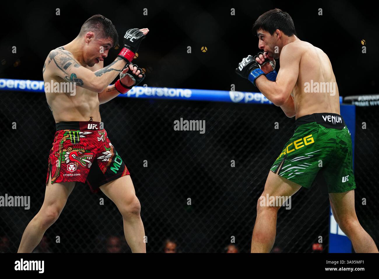 Mexico City, Mexico, United States. 29th Mar, 2025. MEXICO CITY, MEXICO - MARCH 29: Brandon Moreno and Steve Erceg meet in the octagon for a 5-round bout at UFC Fight Night - Moreno vs Erceg at Arena CDMX on March 29, 2025 in Mexico City, Mexico (Photo by Louis Grasse/PxImages) Credit: Px Images/Alamy Live News Stock Photo