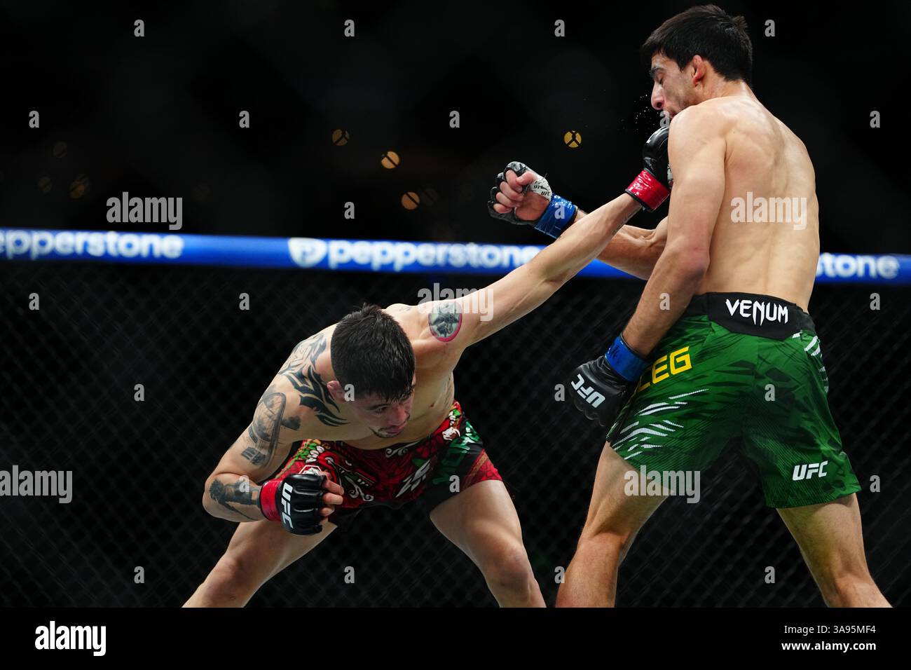 Mexico City, Mexico, United States. 29th Mar, 2025. MEXICO CITY, MEXICO - MARCH 29: Brandon Moreno and Steve Erceg meet in the octagon for a 5-round bout at UFC Fight Night - Moreno vs Erceg at Arena CDMX on March 29, 2025 in Mexico City, Mexico (Photo by Louis Grasse/PxImages) Credit: Px Images/Alamy Live News Stock Photo