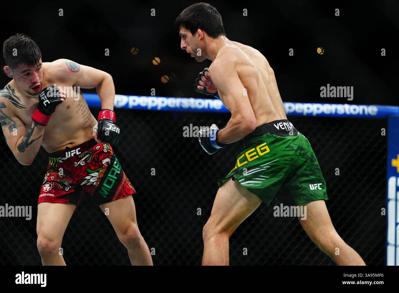 Mexico City, Mexico, United States. 29th Mar, 2025. MEXICO CITY, MEXICO - MARCH 29: Brandon Moreno and Steve Erceg meet in the octagon for a 5-round bout at UFC Fight Night - Moreno vs Erceg at Arena CDMX on March 29, 2025 in Mexico City, Mexico (Photo by Louis Grasse/PxImages) Credit: Px Images/Alamy Live News Stock Photo