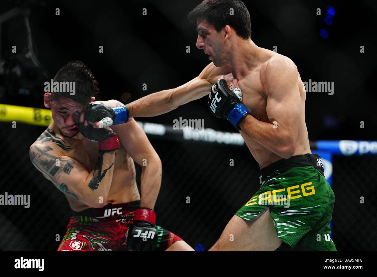 Mexico City, Mexico, United States. 29th Mar, 2025. MEXICO CITY, MEXICO - MARCH 29: Brandon Moreno and Steve Erceg meet in the octagon for a 5-round bout at UFC Fight Night - Moreno vs Erceg at Arena CDMX on March 29, 2025 in Mexico City, Mexico (Photo by Louis Grasse/PxImages) Credit: Px Images/Alamy Live News Stock Photo