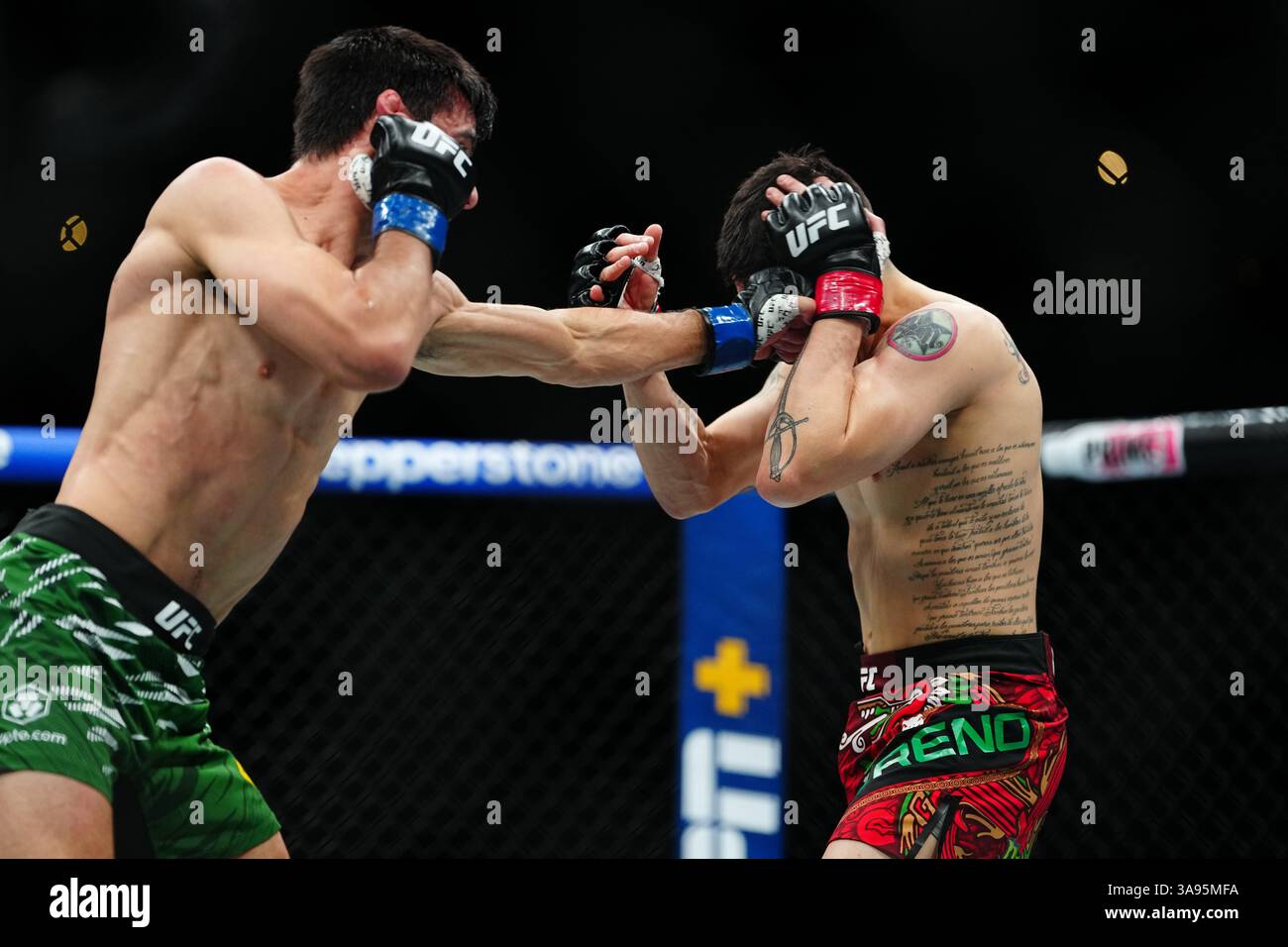Mexico City, Mexico, United States. 29th Mar, 2025. MEXICO CITY, MEXICO - MARCH 29: Brandon Moreno and Steve Erceg meet in the octagon for a 5-round bout at UFC Fight Night - Moreno vs Erceg at Arena CDMX on March 29, 2025 in Mexico City, Mexico (Photo by Louis Grasse/PxImages) Credit: Px Images/Alamy Live News Stock Photo