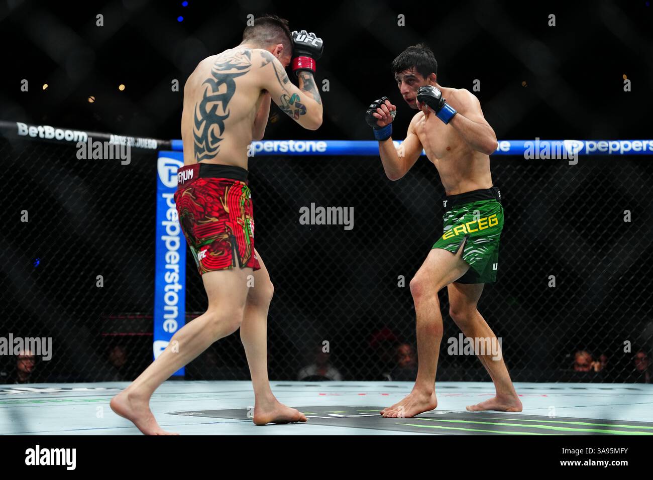 Mexico City, Mexico, United States. 29th Mar, 2025. MEXICO CITY, MEXICO - MARCH 29: Brandon Moreno and Steve Erceg meet in the octagon for a 5-round bout at UFC Fight Night - Moreno vs Erceg at Arena CDMX on March 29, 2025 in Mexico City, Mexico (Photo by Louis Grasse/PxImages) Credit: Px Images/Alamy Live News Stock Photo