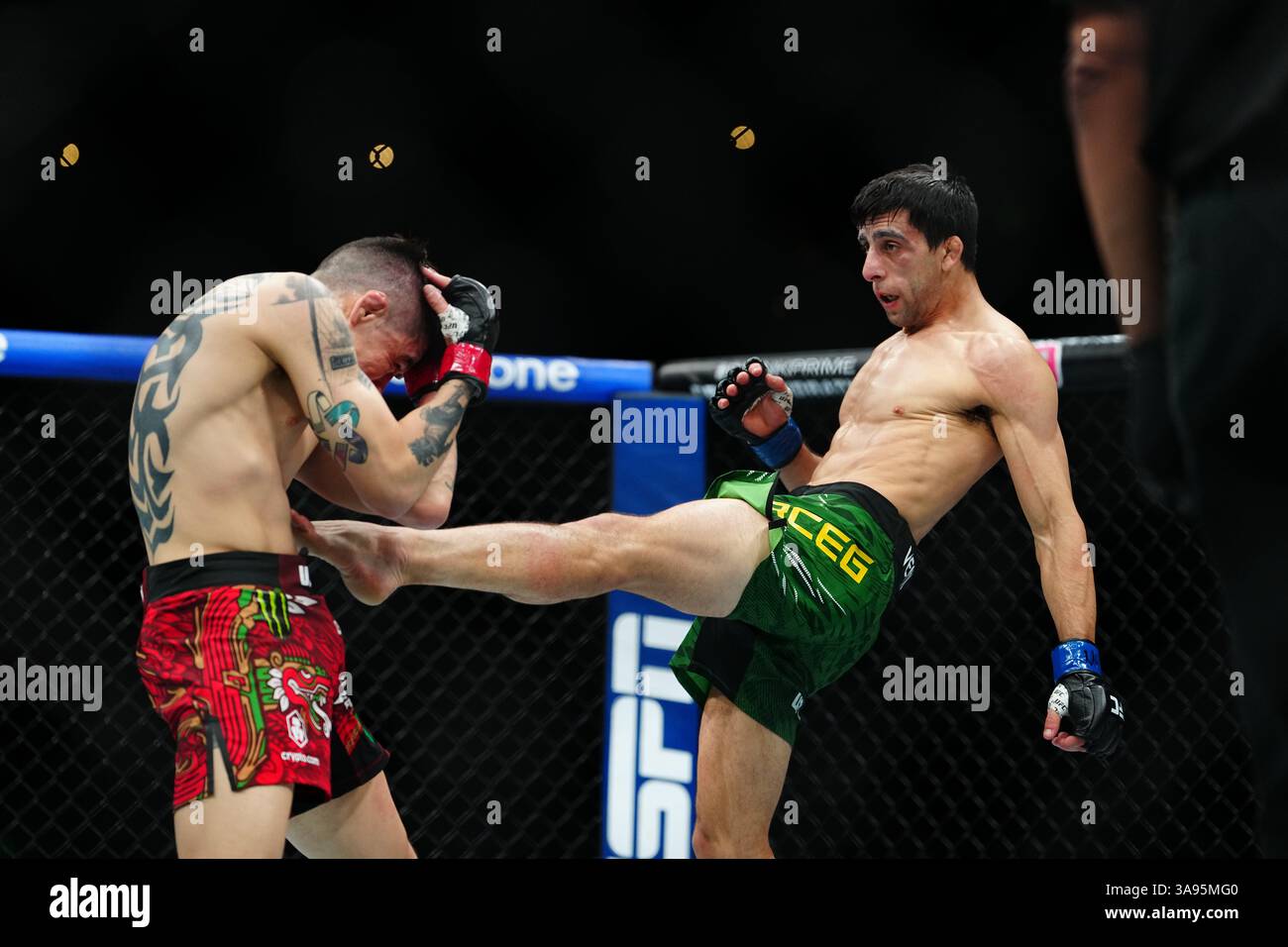 Mexico City, Mexico, United States. 29th Mar, 2025. MEXICO CITY, MEXICO - MARCH 29: Brandon Moreno and Steve Erceg meet in the octagon for a 5-round bout at UFC Fight Night - Moreno vs Erceg at Arena CDMX on March 29, 2025 in Mexico City, Mexico (Photo by Louis Grasse/PxImages) Credit: Px Images/Alamy Live News Stock Photo