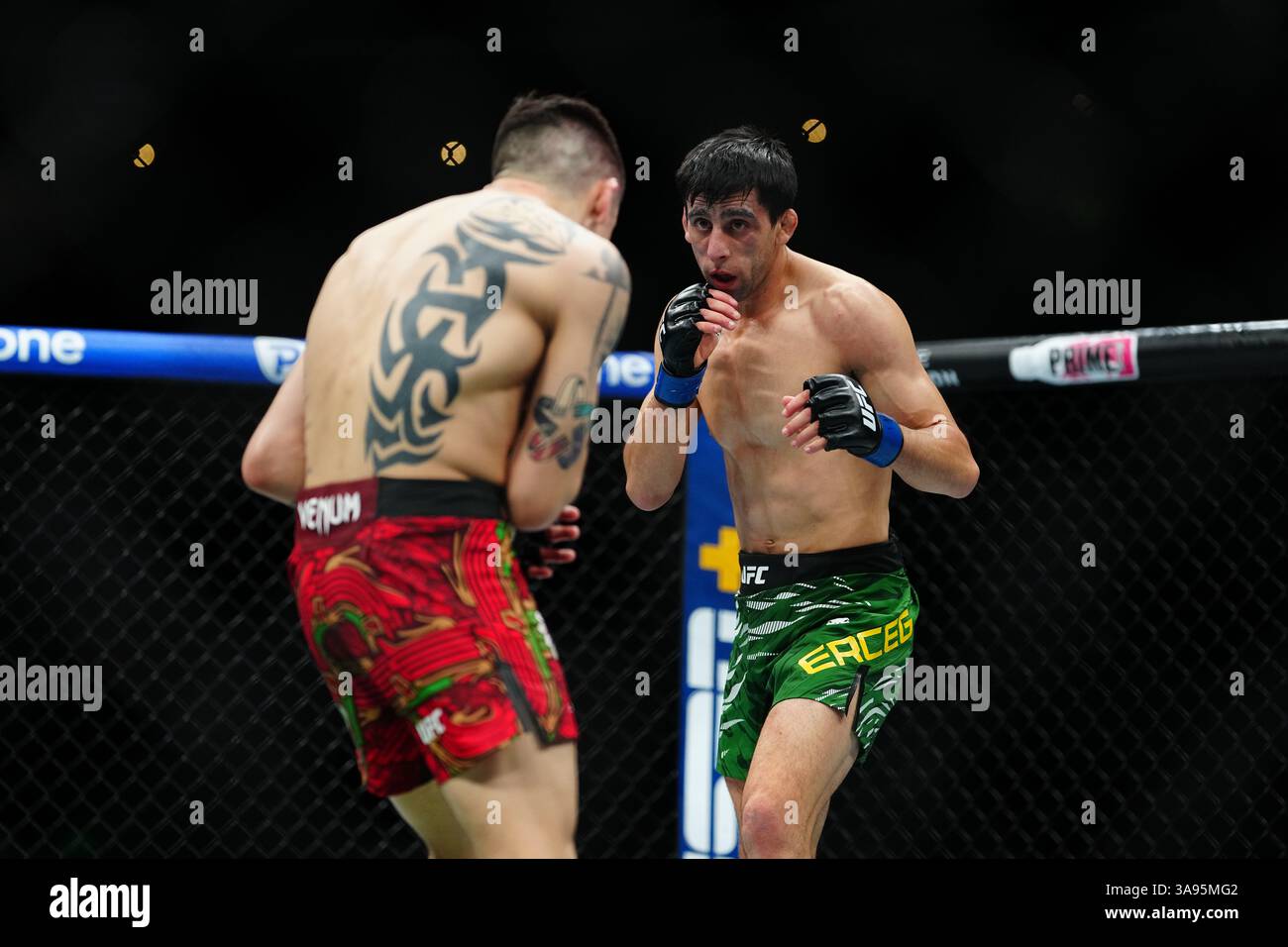 Mexico City, Mexico, United States. 29th Mar, 2025. MEXICO CITY, MEXICO - MARCH 29: Brandon Moreno and Steve Erceg meet in the octagon for a 5-round bout at UFC Fight Night - Moreno vs Erceg at Arena CDMX on March 29, 2025 in Mexico City, Mexico (Photo by Louis Grasse/PxImages) Credit: Px Images/Alamy Live News Stock Photo
