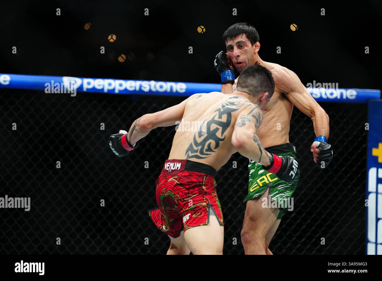 Mexico City, Mexico, United States. 29th Mar, 2025. MEXICO CITY, MEXICO - MARCH 29: Brandon Moreno and Steve Erceg meet in the octagon for a 5-round bout at UFC Fight Night - Moreno vs Erceg at Arena CDMX on March 29, 2025 in Mexico City, Mexico (Photo by Louis Grasse/PxImages) Credit: Px Images/Alamy Live News Stock Photo