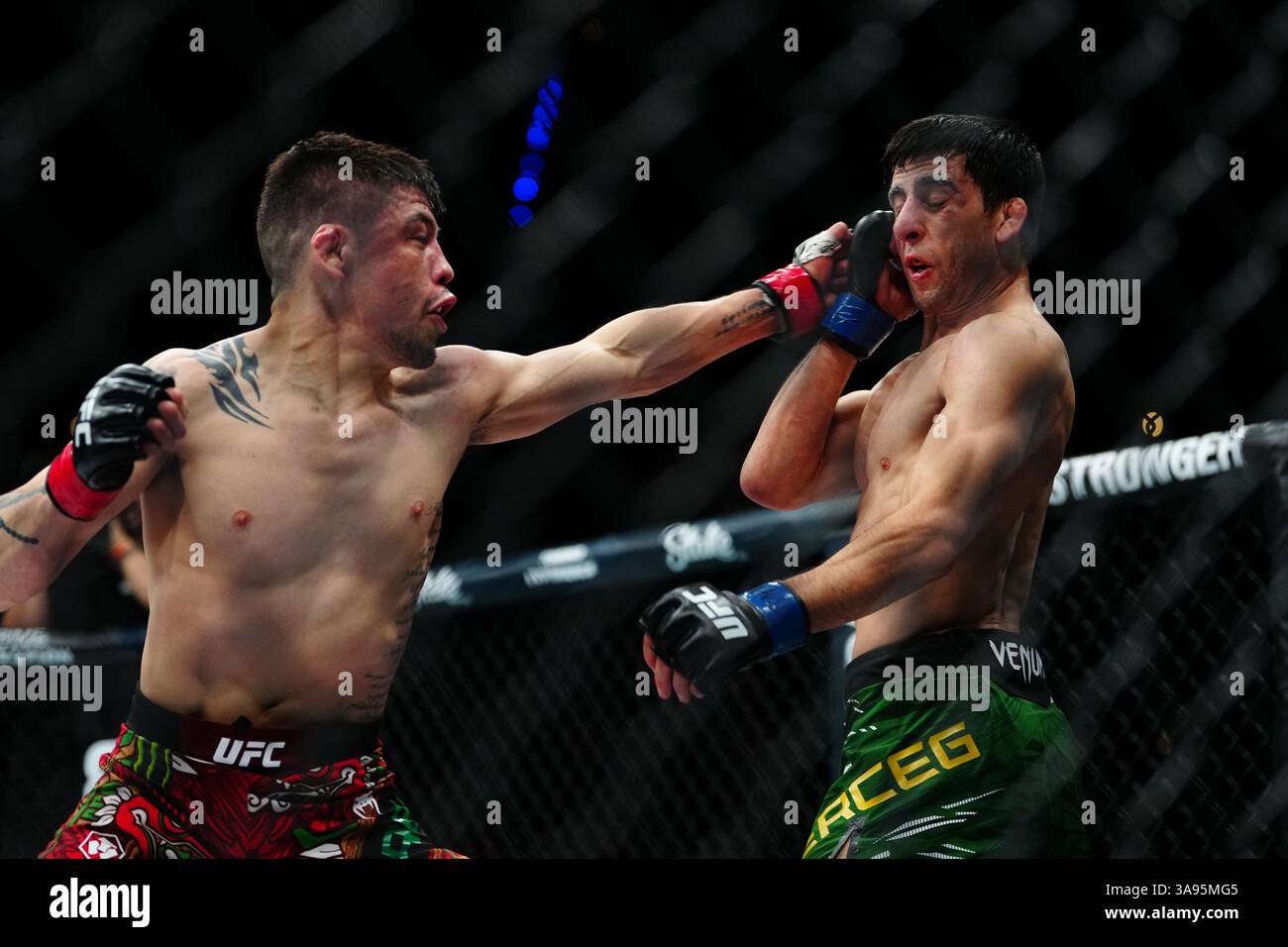 Mexico City, Mexico, United States. 29th Mar, 2025. MEXICO CITY, MEXICO - MARCH 29: Brandon Moreno and Steve Erceg meet in the octagon for a 5-round bout at UFC Fight Night - Moreno vs Erceg at Arena CDMX on March 29, 2025 in Mexico City, Mexico (Photo by Louis Grasse/PxImages) Credit: Px Images/Alamy Live News Stock Photo