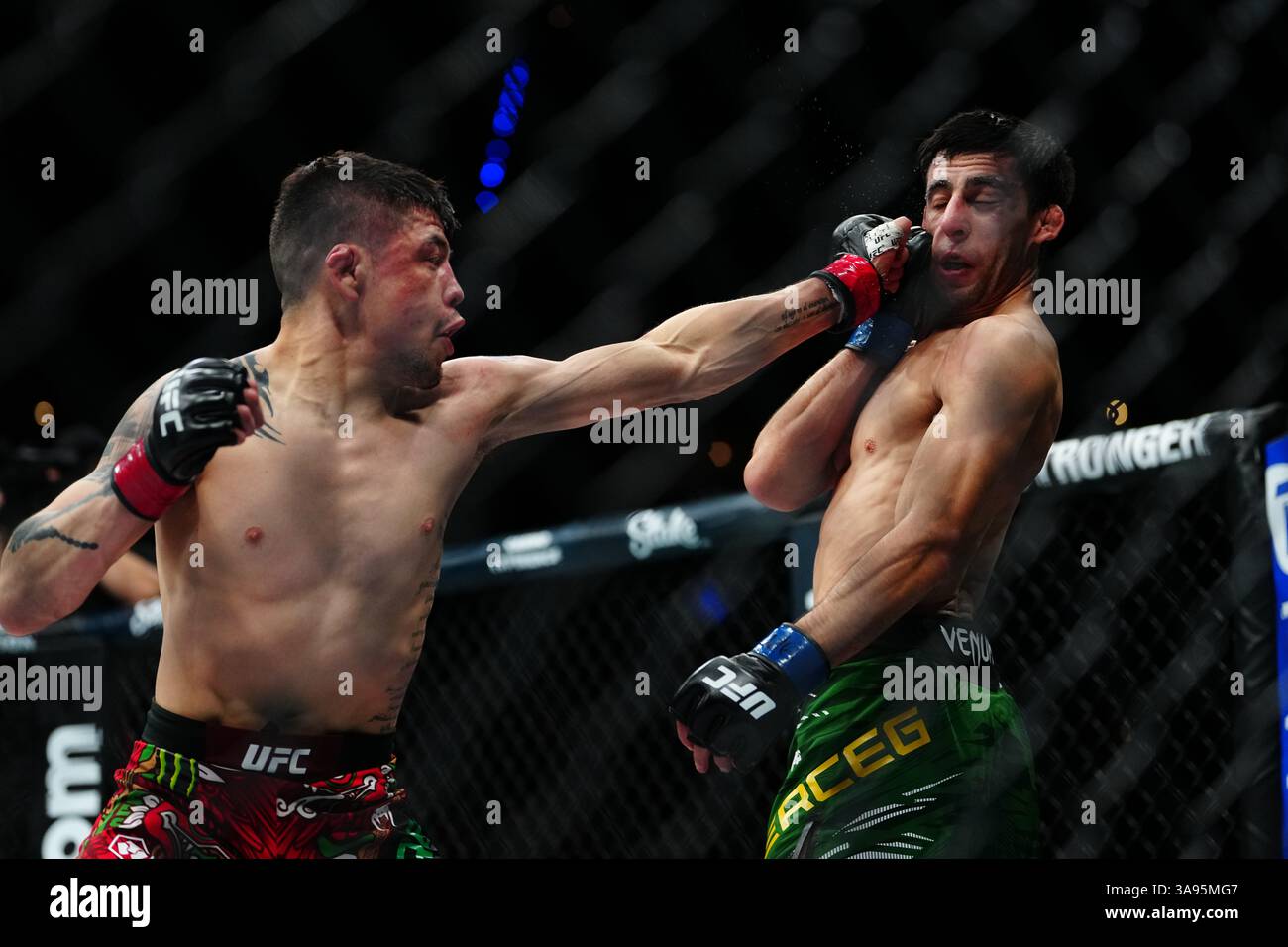 Mexico City, Mexico, United States. 29th Mar, 2025. MEXICO CITY, MEXICO - MARCH 29: Brandon Moreno and Steve Erceg meet in the octagon for a 5-round bout at UFC Fight Night - Moreno vs Erceg at Arena CDMX on March 29, 2025 in Mexico City, Mexico (Photo by Louis Grasse/PxImages) Credit: Px Images/Alamy Live News Stock Photo
