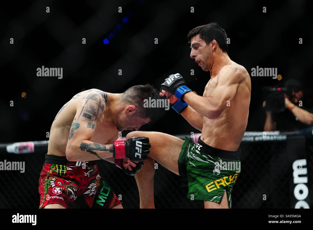 Mexico City, Mexico, United States. 29th Mar, 2025. MEXICO CITY, MEXICO - MARCH 29: Brandon Moreno and Steve Erceg meet in the octagon for a 5-round bout at UFC Fight Night - Moreno vs Erceg at Arena CDMX on March 29, 2025 in Mexico City, Mexico (Photo by Louis Grasse/PxImages) Credit: Px Images/Alamy Live News Stock Photo