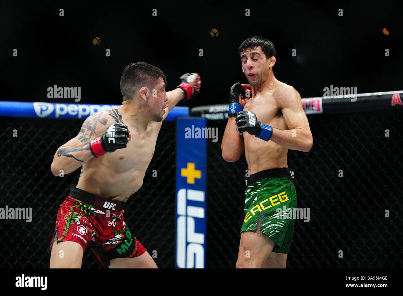Mexico City, Mexico, United States. 29th Mar, 2025. MEXICO CITY, MEXICO - MARCH 29: Brandon Moreno and Steve Erceg meet in the octagon for a 5-round bout at UFC Fight Night - Moreno vs Erceg at Arena CDMX on March 29, 2025 in Mexico City, Mexico (Photo by Louis Grasse/PxImages) Credit: Px Images/Alamy Live News Stock Photo