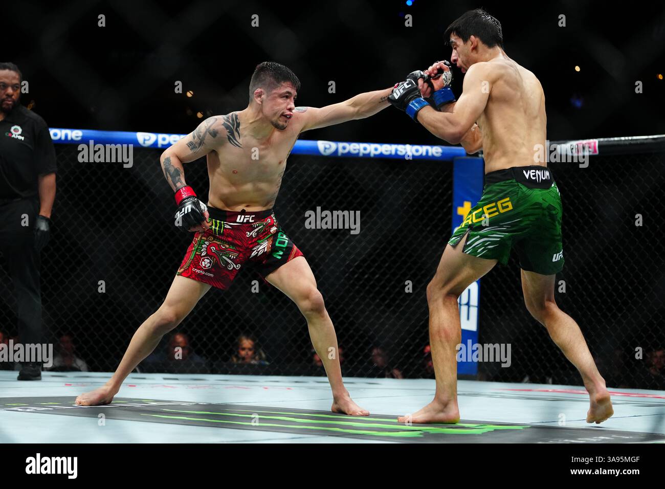 Mexico City, Mexico, United States. 29th Mar, 2025. MEXICO CITY, MEXICO - MARCH 29: Brandon Moreno and Steve Erceg meet in the octagon for a 5-round bout at UFC Fight Night - Moreno vs Erceg at Arena CDMX on March 29, 2025 in Mexico City, Mexico (Photo by Louis Grasse/PxImages) Credit: Px Images/Alamy Live News Stock Photo