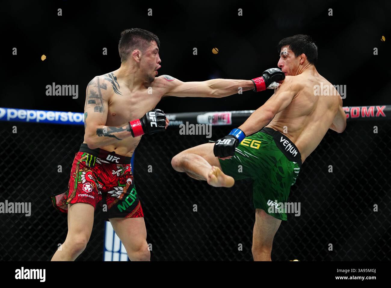 Mexico City, Mexico, United States. 29th Mar, 2025. MEXICO CITY, MEXICO - MARCH 29: Brandon Moreno and Steve Erceg meet in the octagon for a 5-round bout at UFC Fight Night - Moreno vs Erceg at Arena CDMX on March 29, 2025 in Mexico City, Mexico (Photo by Louis Grasse/PxImages) Credit: Px Images/Alamy Live News Stock Photo