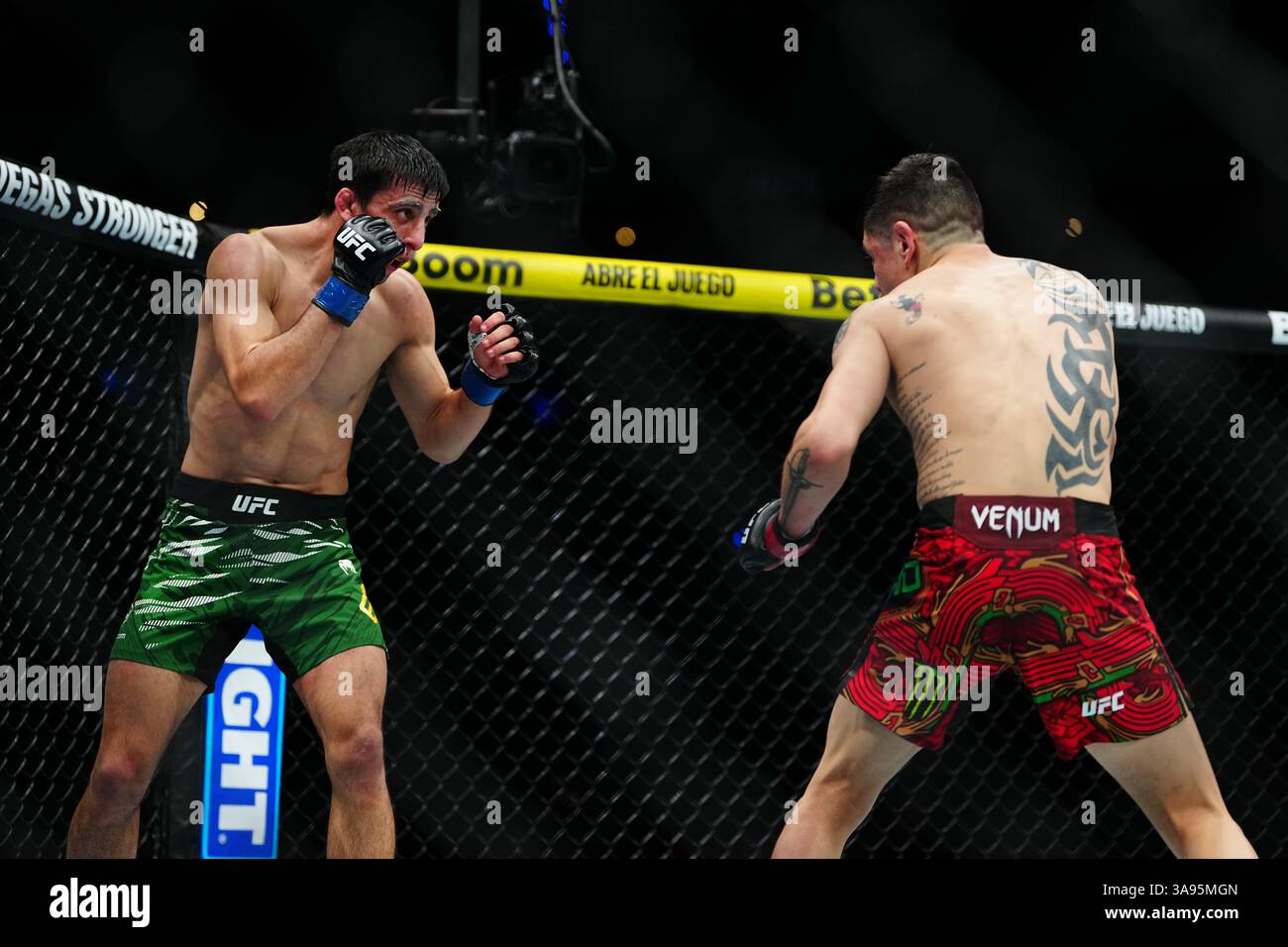 Mexico City, Mexico, United States. 29th Mar, 2025. MEXICO CITY, MEXICO - MARCH 29: Brandon Moreno and Steve Erceg meet in the octagon for a 5-round bout at UFC Fight Night - Moreno vs Erceg at Arena CDMX on March 29, 2025 in Mexico City, Mexico (Photo by Louis Grasse/PxImages) Credit: Px Images/Alamy Live News Stock Photo