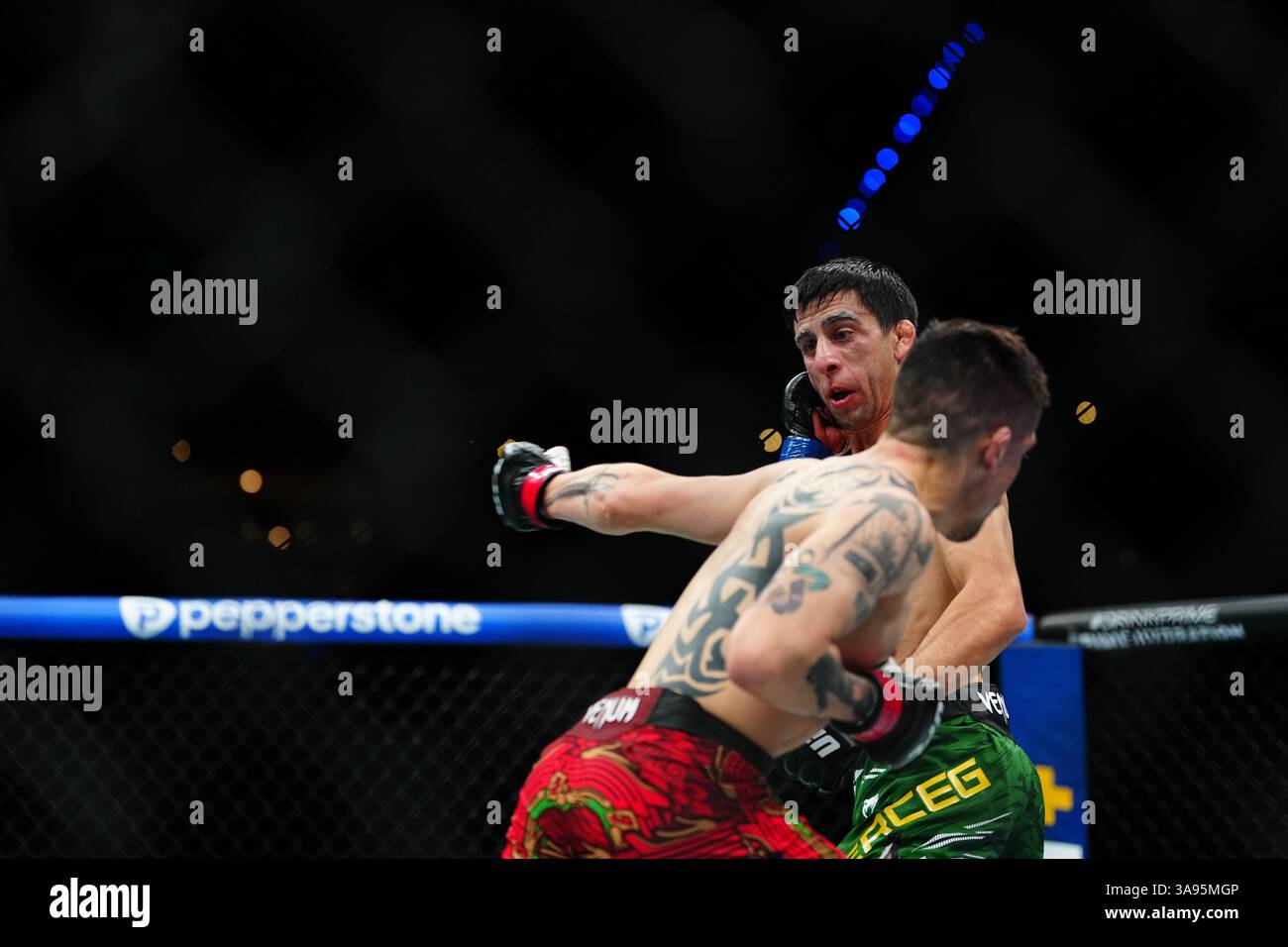 Mexico City, Mexico, United States. 29th Mar, 2025. MEXICO CITY, MEXICO - MARCH 29: Brandon Moreno and Steve Erceg meet in the octagon for a 5-round bout at UFC Fight Night - Moreno vs Erceg at Arena CDMX on March 29, 2025 in Mexico City, Mexico (Photo by Louis Grasse/PxImages) Credit: Px Images/Alamy Live News Stock Photo