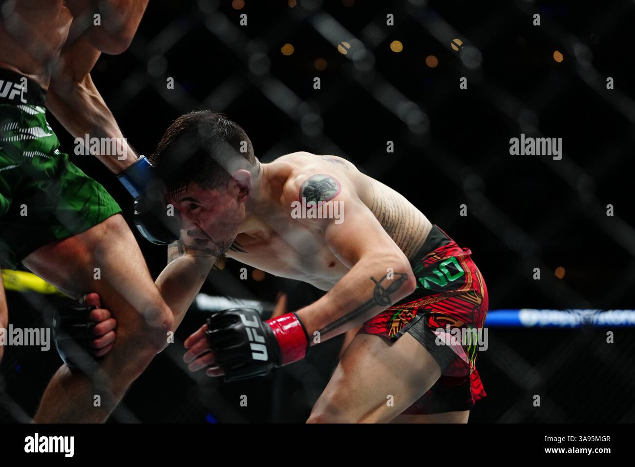 Mexico City, Mexico, United States. 29th Mar, 2025. MEXICO CITY, MEXICO - MARCH 29: Brandon Moreno and Steve Erceg meet in the octagon for a 5-round bout at UFC Fight Night - Moreno vs Erceg at Arena CDMX on March 29, 2025 in Mexico City, Mexico (Photo by Louis Grasse/PxImages) Credit: Px Images/Alamy Live News Stock Photo