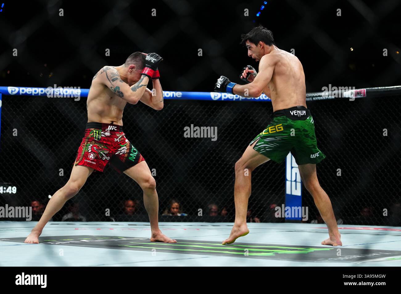 Mexico City, Mexico, United States. 29th Mar, 2025. MEXICO CITY, MEXICO - MARCH 29: Brandon Moreno and Steve Erceg meet in the octagon for a 5-round bout at UFC Fight Night - Moreno vs Erceg at Arena CDMX on March 29, 2025 in Mexico City, Mexico (Photo by Louis Grasse/PxImages) Credit: Px Images/Alamy Live News Stock Photo
