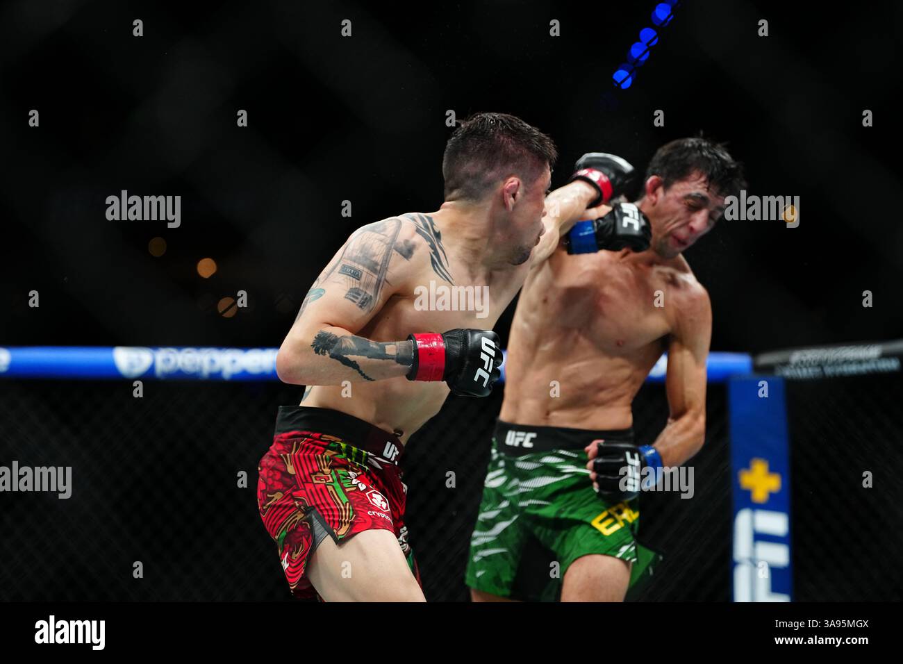Mexico City, Mexico, United States. 29th Mar, 2025. MEXICO CITY, MEXICO - MARCH 29: Brandon Moreno and Steve Erceg meet in the octagon for a 5-round bout at UFC Fight Night - Moreno vs Erceg at Arena CDMX on March 29, 2025 in Mexico City, Mexico (Photo by Louis Grasse/PxImages) Credit: Px Images/Alamy Live News Stock Photo