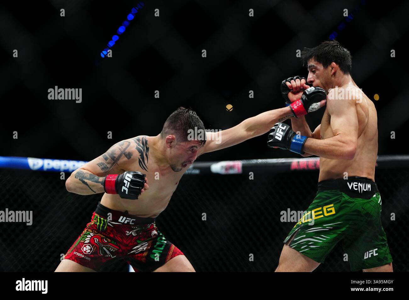 Mexico City, Mexico, United States. 29th Mar, 2025. MEXICO CITY, MEXICO - MARCH 29: Brandon Moreno and Steve Erceg meet in the octagon for a 5-round bout at UFC Fight Night - Moreno vs Erceg at Arena CDMX on March 29, 2025 in Mexico City, Mexico (Photo by Louis Grasse/PxImages) Credit: Px Images/Alamy Live News Stock Photo