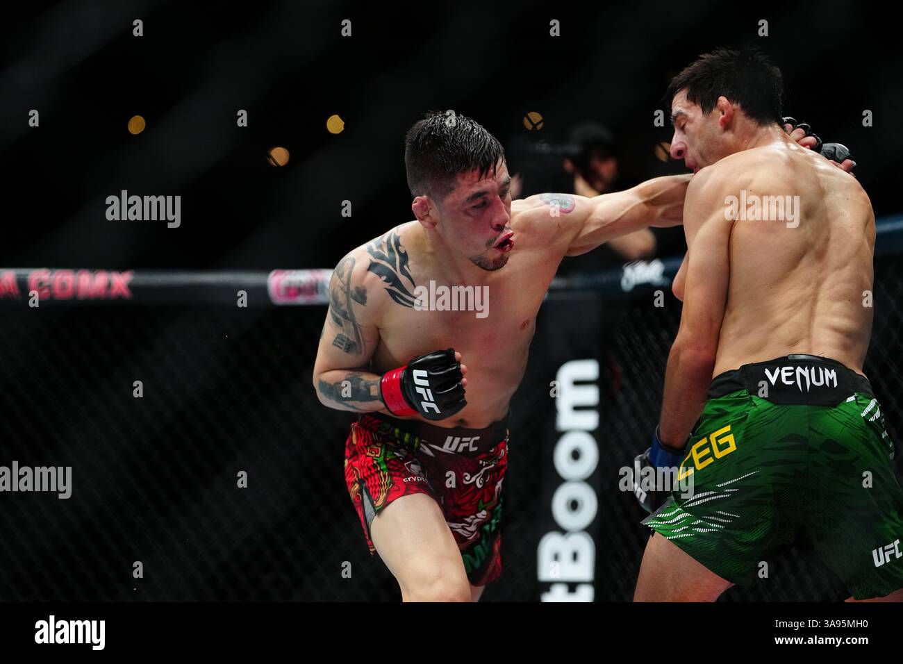 Mexico City, Mexico, United States. 29th Mar, 2025. MEXICO CITY, MEXICO - MARCH 29: Brandon Moreno and Steve Erceg meet in the octagon for a 5-round bout at UFC Fight Night - Moreno vs Erceg at Arena CDMX on March 29, 2025 in Mexico City, Mexico (Photo by Louis Grasse/PxImages) Credit: Px Images/Alamy Live News Stock Photo